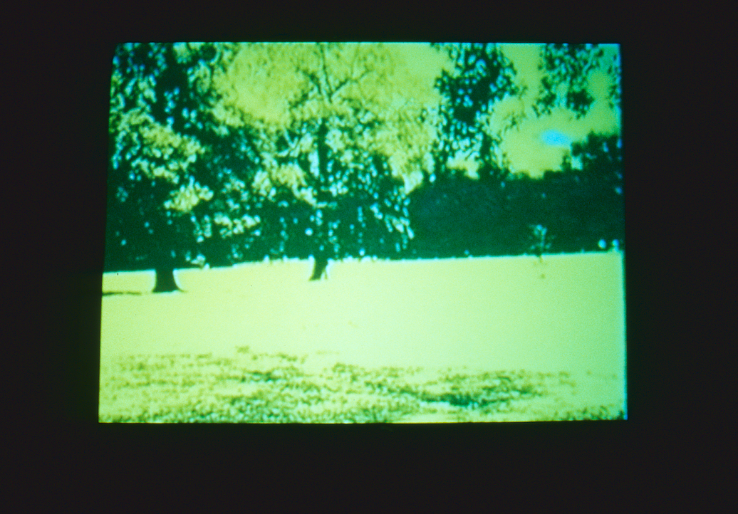 João Penalva, 336 Pek (1998); photo: Cheryl O’Brien