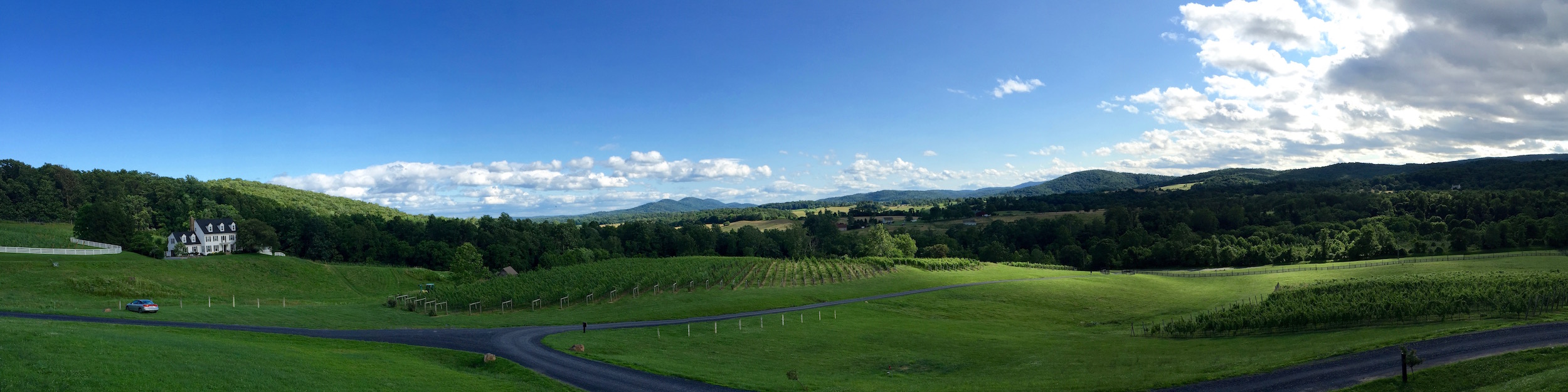 Tough to oversell the summertime view from the patio at Delaplane Cellars. It's equally beautiful with snow on the ground! Notice the three mountain peaks in the distance, just left of center, that inspire the elegant labels found on every Delaplane bottle.