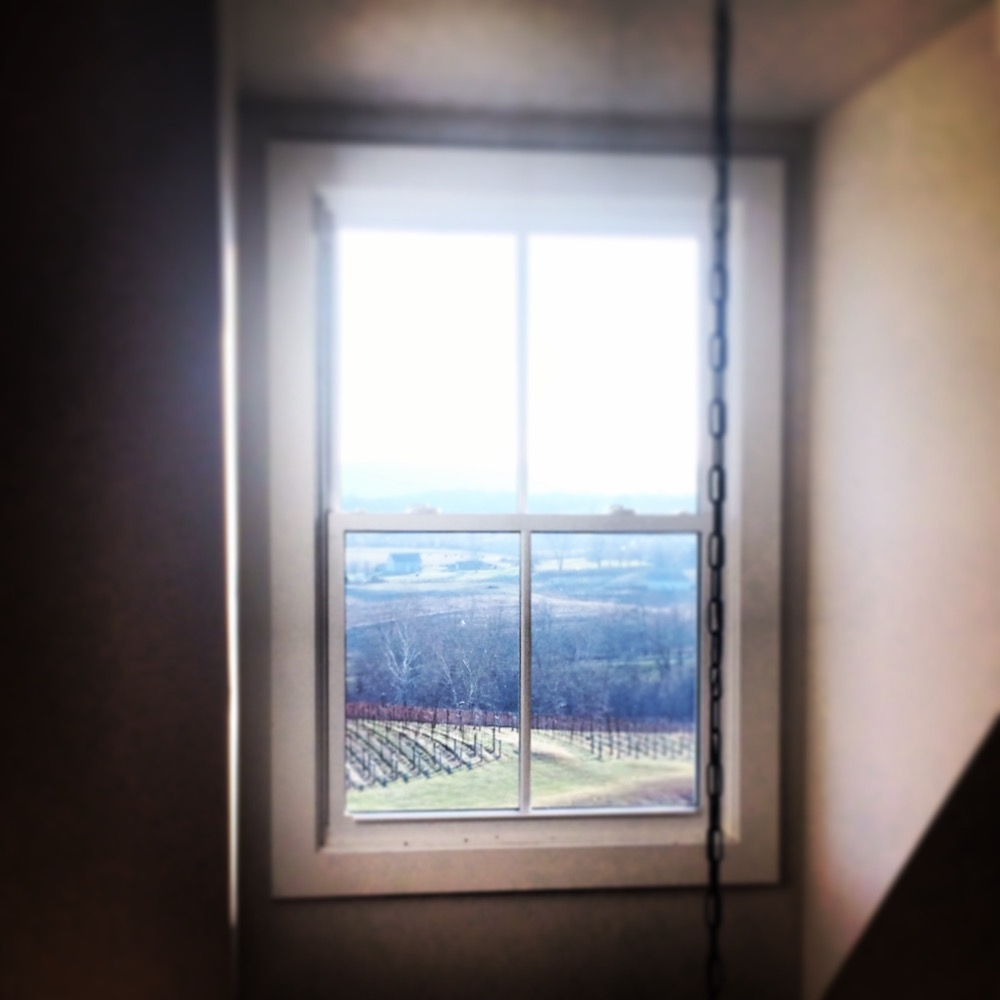 The entire winery is bathed in light. We could spend hours staring out the window.