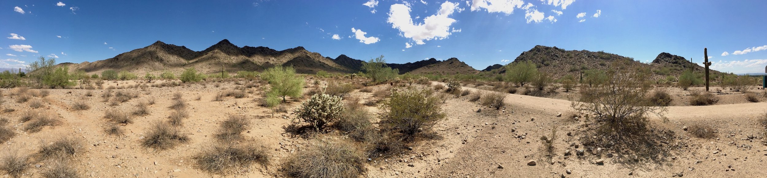 Drove just a bit outside of Phoenix to the San Tan Mountain Goldmine Trail. Worth it.