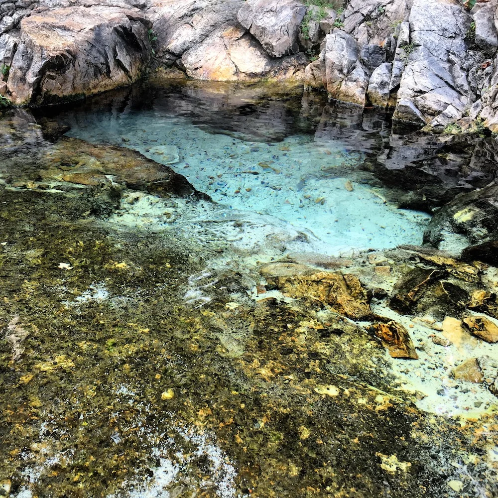 Warm Mineral Springs