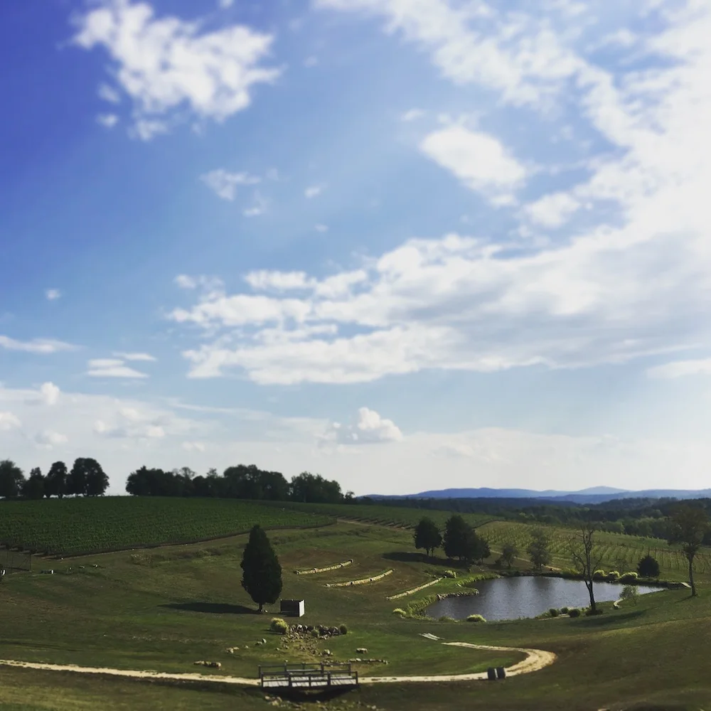 The Vineyard at Stone Tower Winery