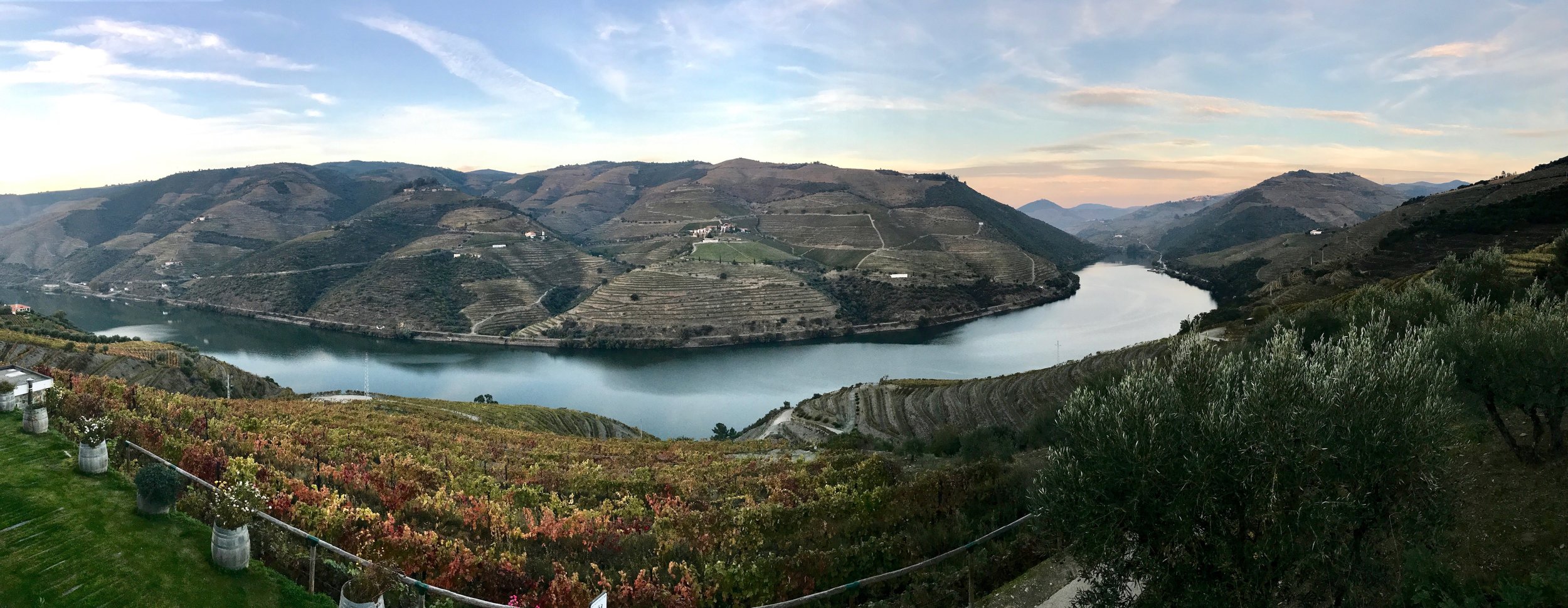 Setting sun casts colors and shadows high on the hillside that rises above the Douro River. Note the fall colors that decorate the leaves of the vines running down to the river below.