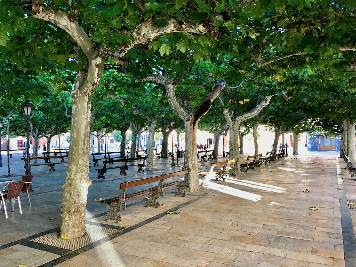  The square in the center of Fuenmayor is idyllic. 