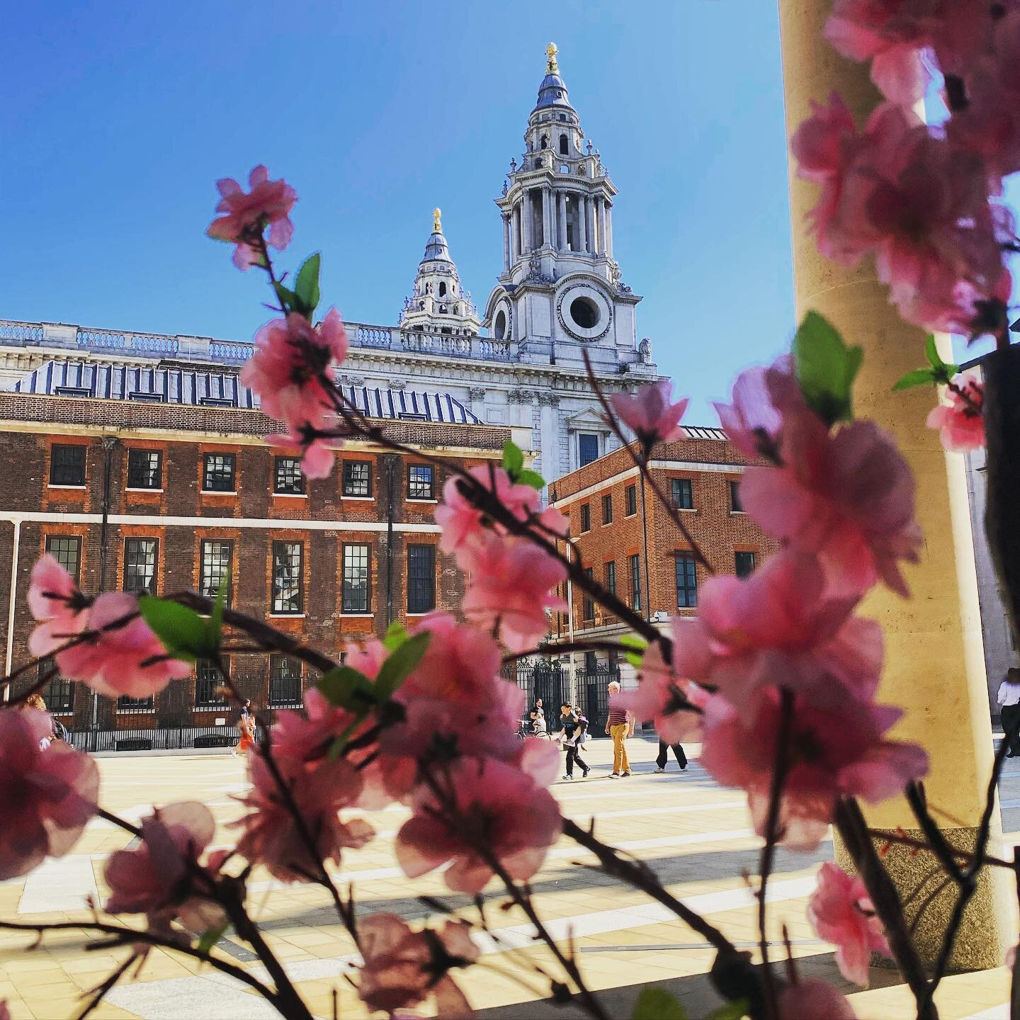 Beautiful day in the shadow of #StPauls #Cathedral in #London 🇬🇧 

#BeautifulDay #SpringTime #flowers #bluesky