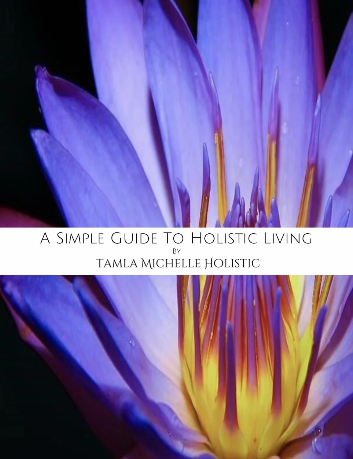 simple guide cover .jpg