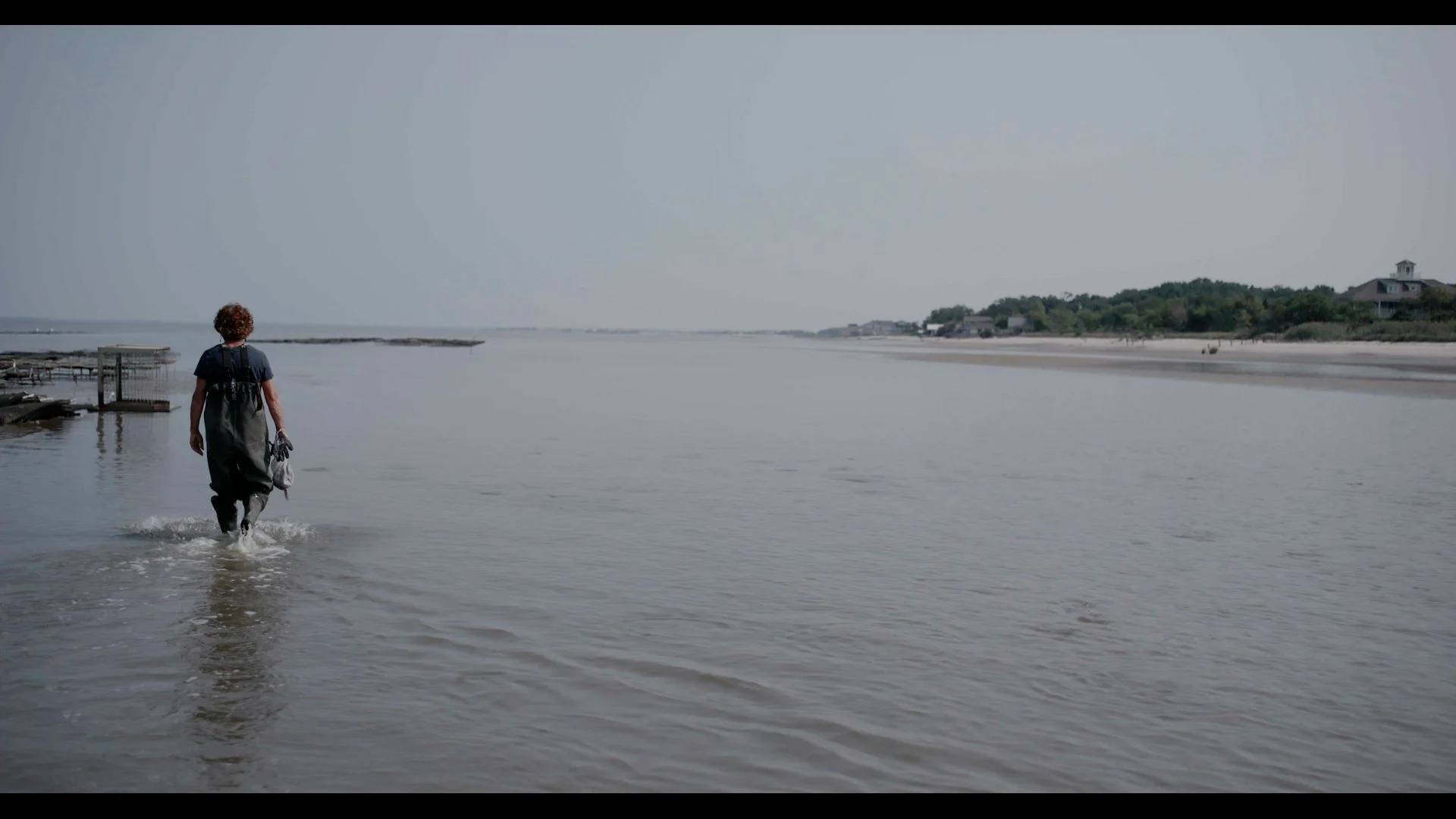 nj oyster farm to table
