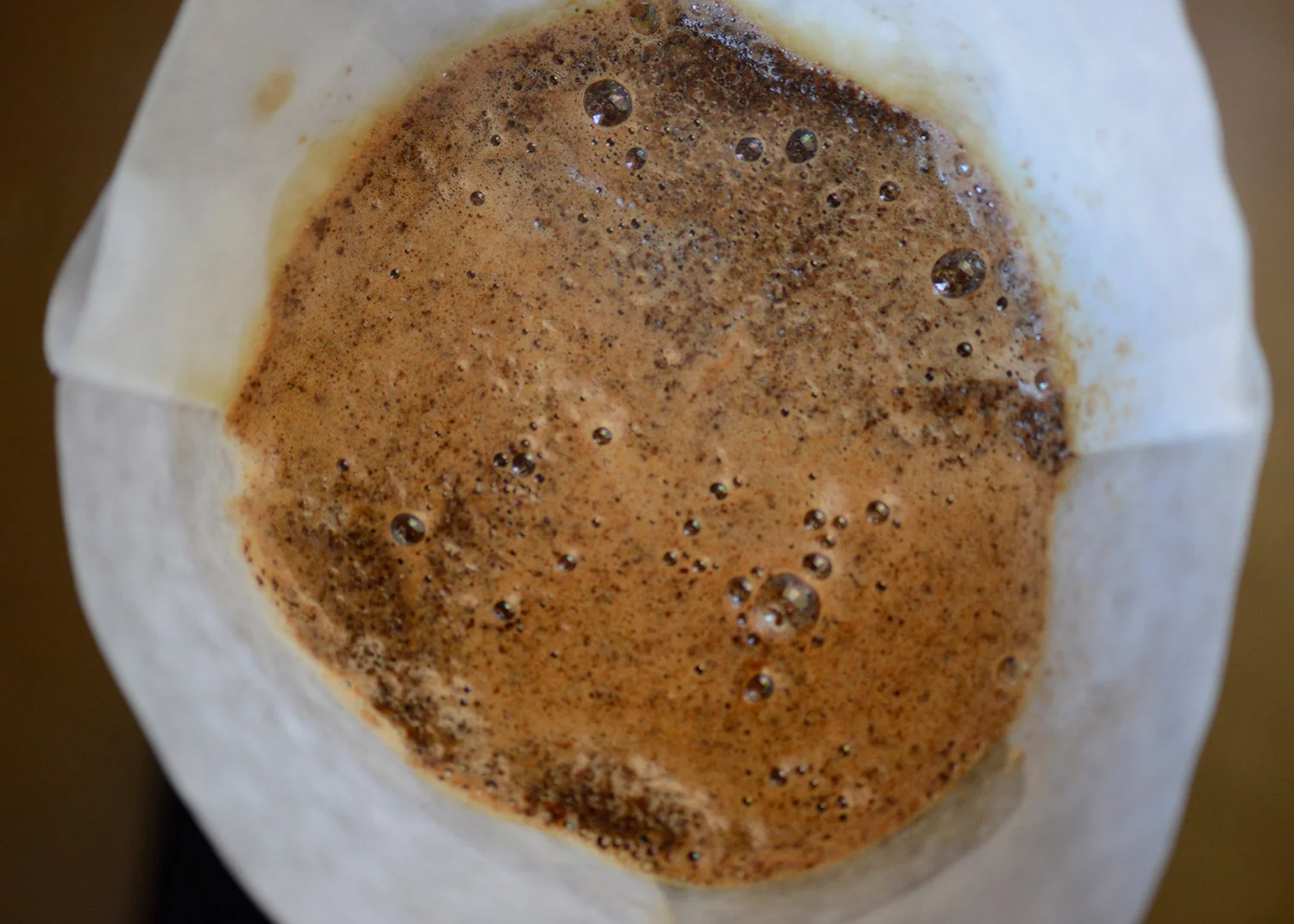 Chemex-Coffee-Bloom.jpg