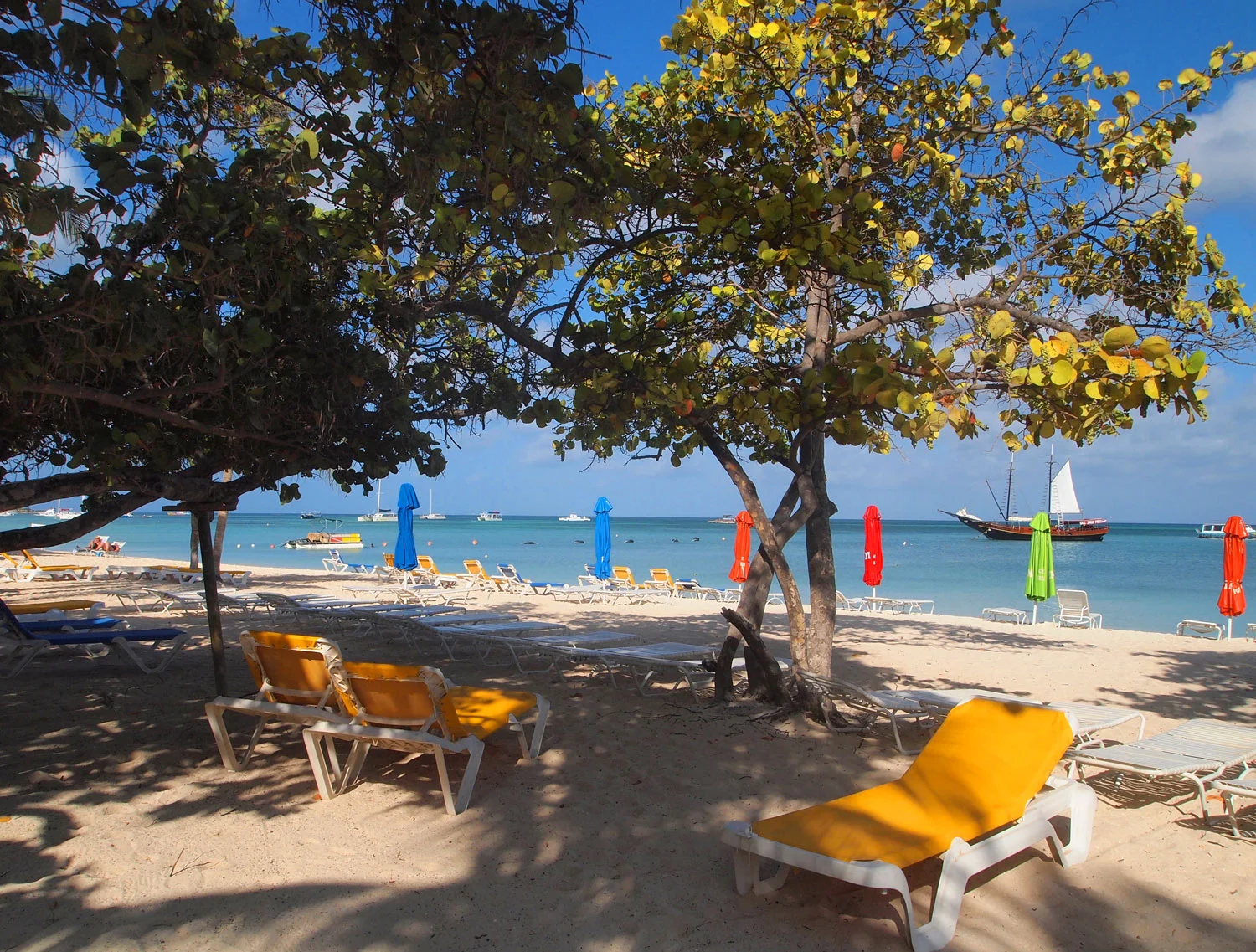 Aruba-Palm-Beach-trees-lounge-chairs.jpg