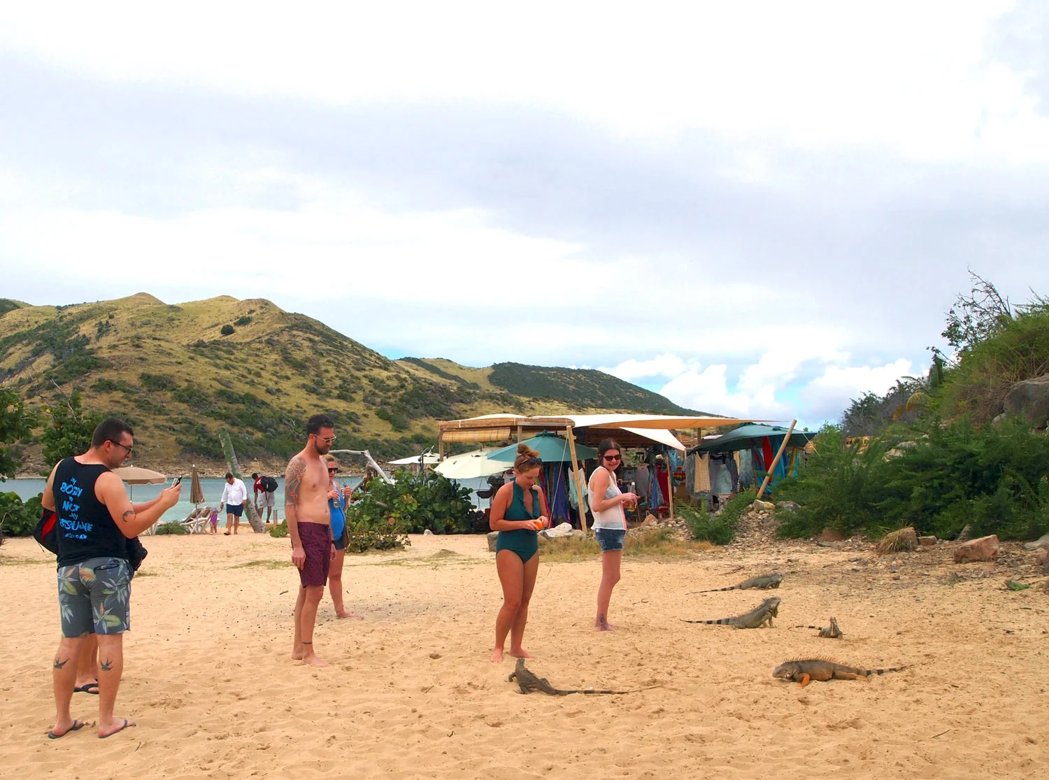 Saint-Martin-Pinel-Island-tourists-iguanas.jpg