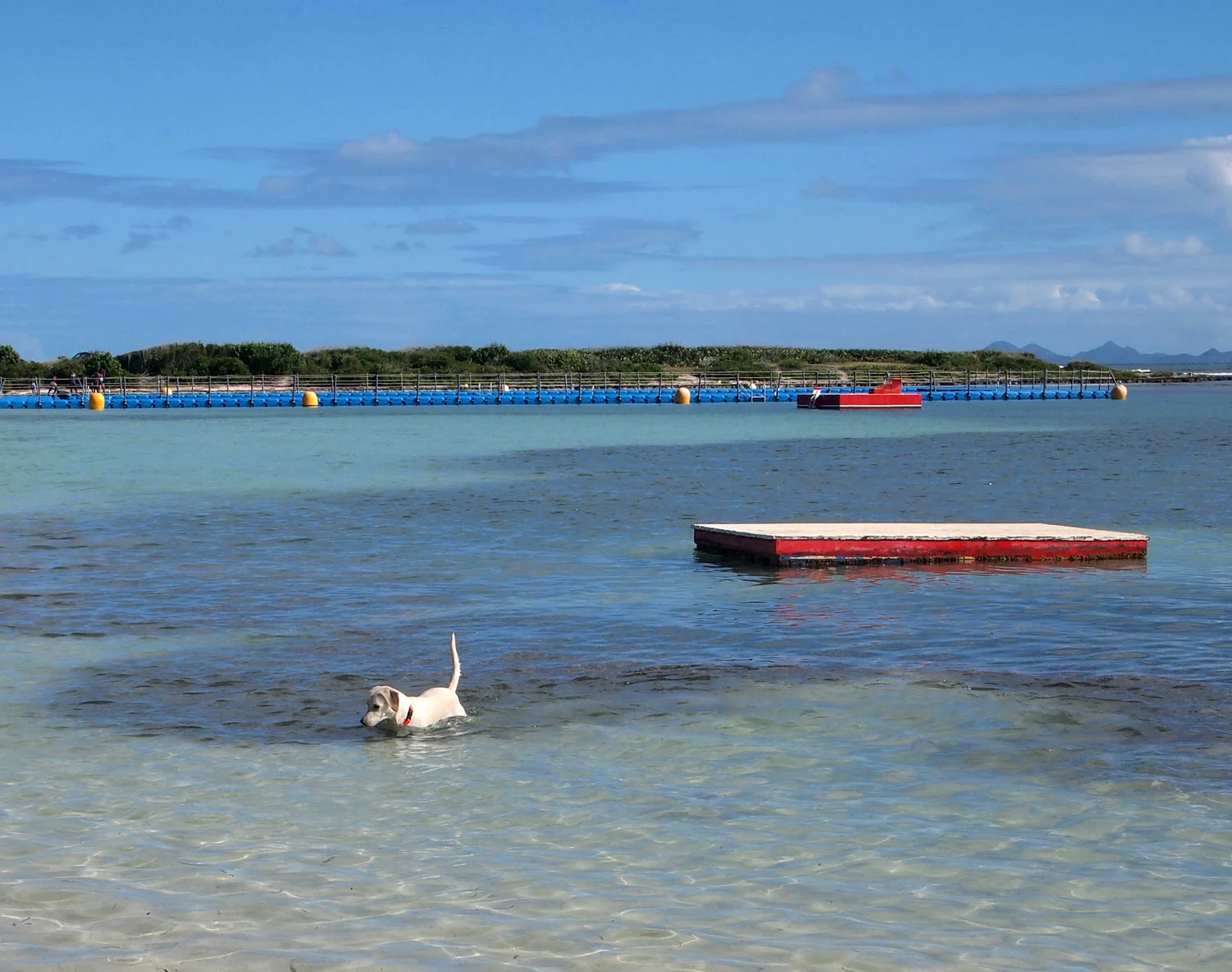 Saint-Martin-Le-Galion-beach-before-Irma.jpg