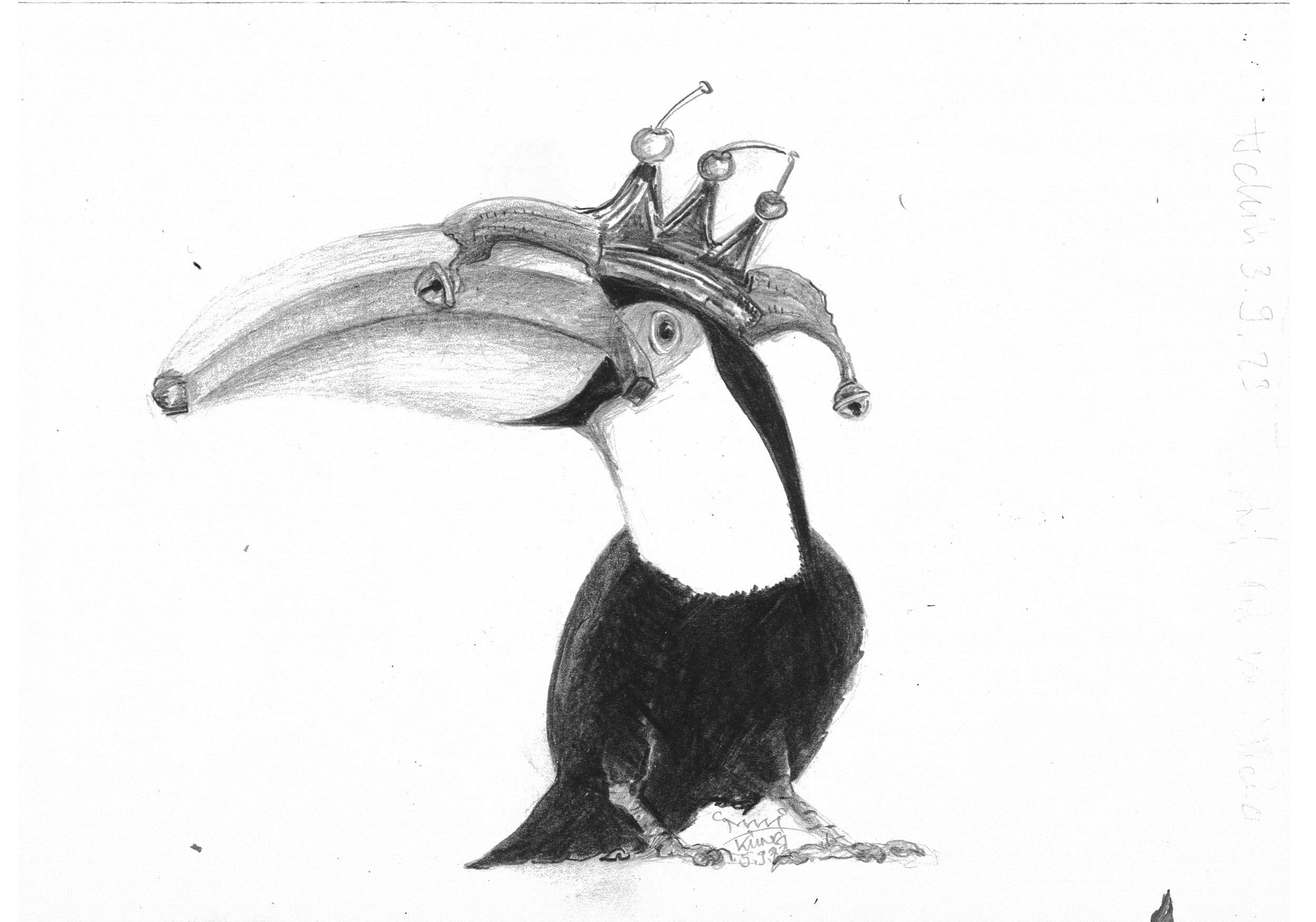 banana_Tukan_Raschi_Kueng_2023.jpg