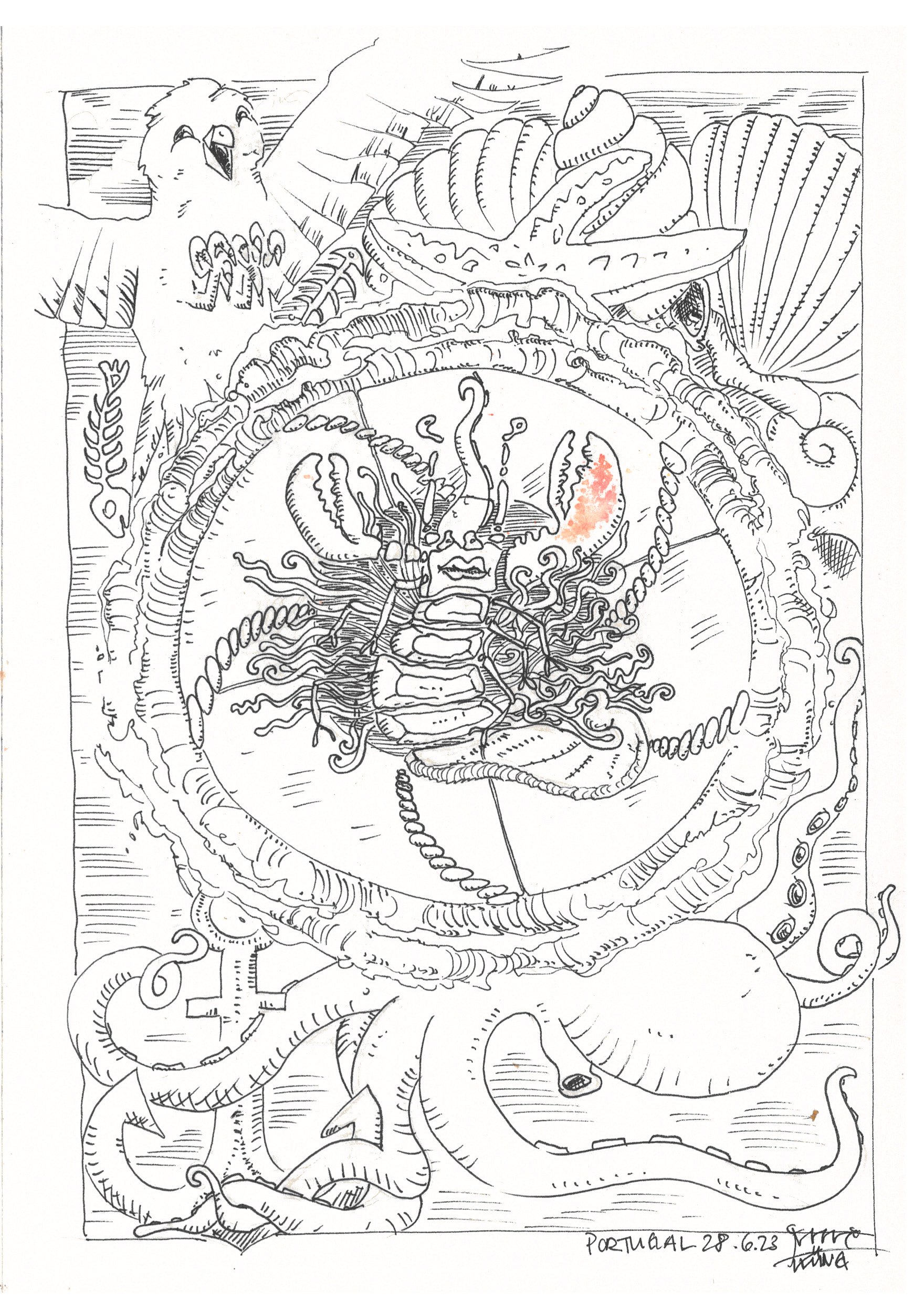 crab__Raschi_Kueng_2023.jpg