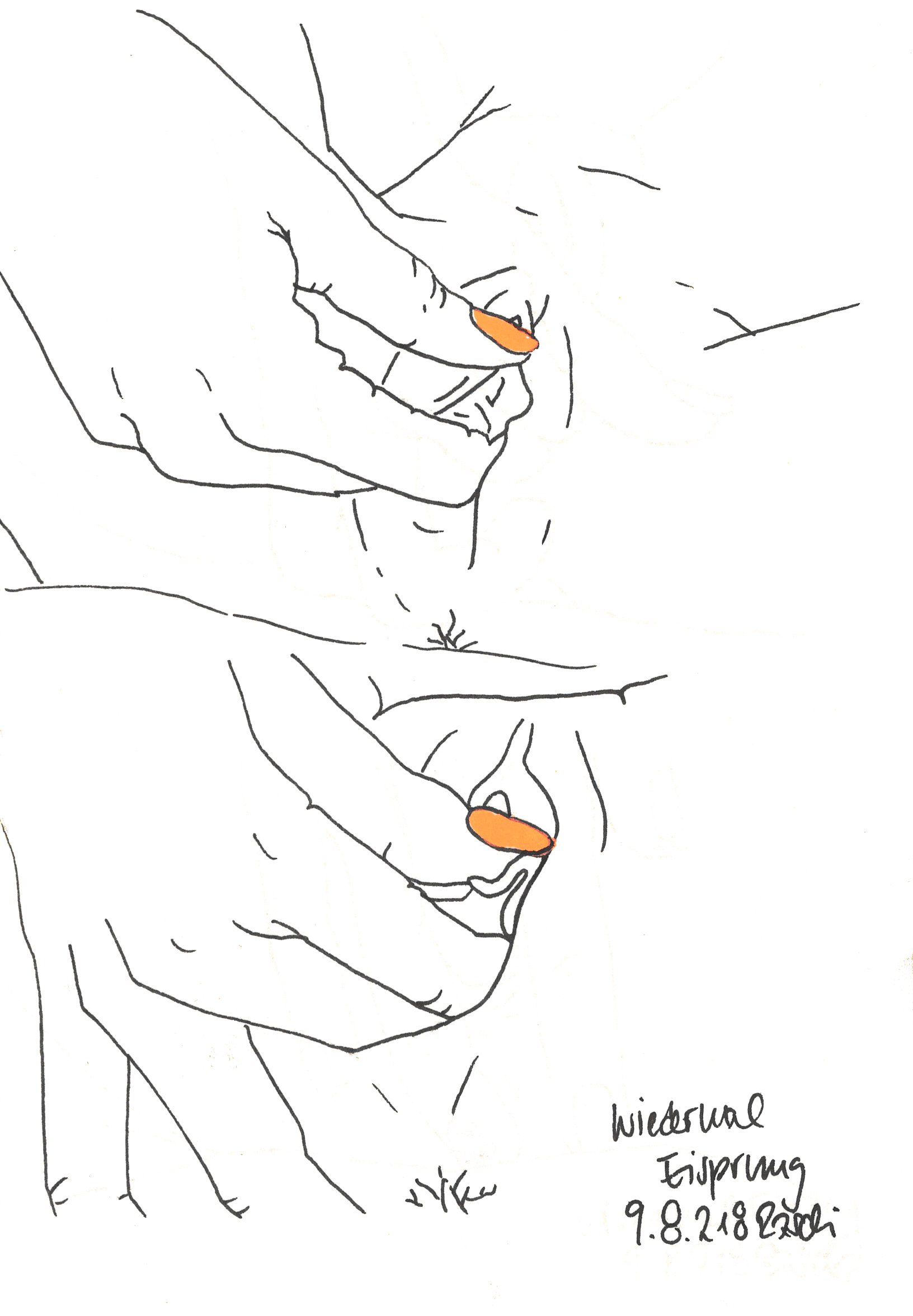 Eisprung2_Raschi_Kueng.jpg
