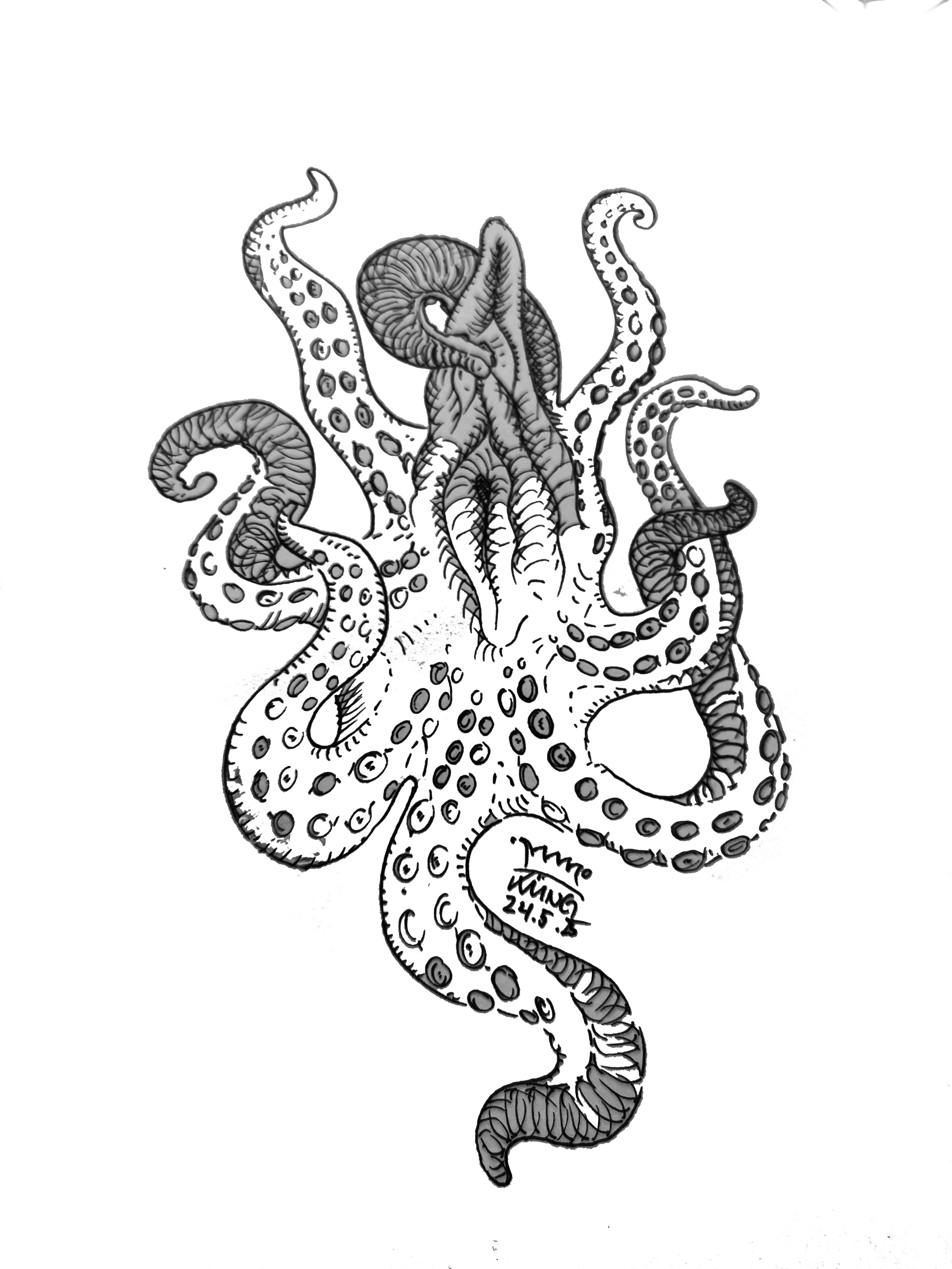 OctoPussy_Raschi_Kueng_25_3.jpg
