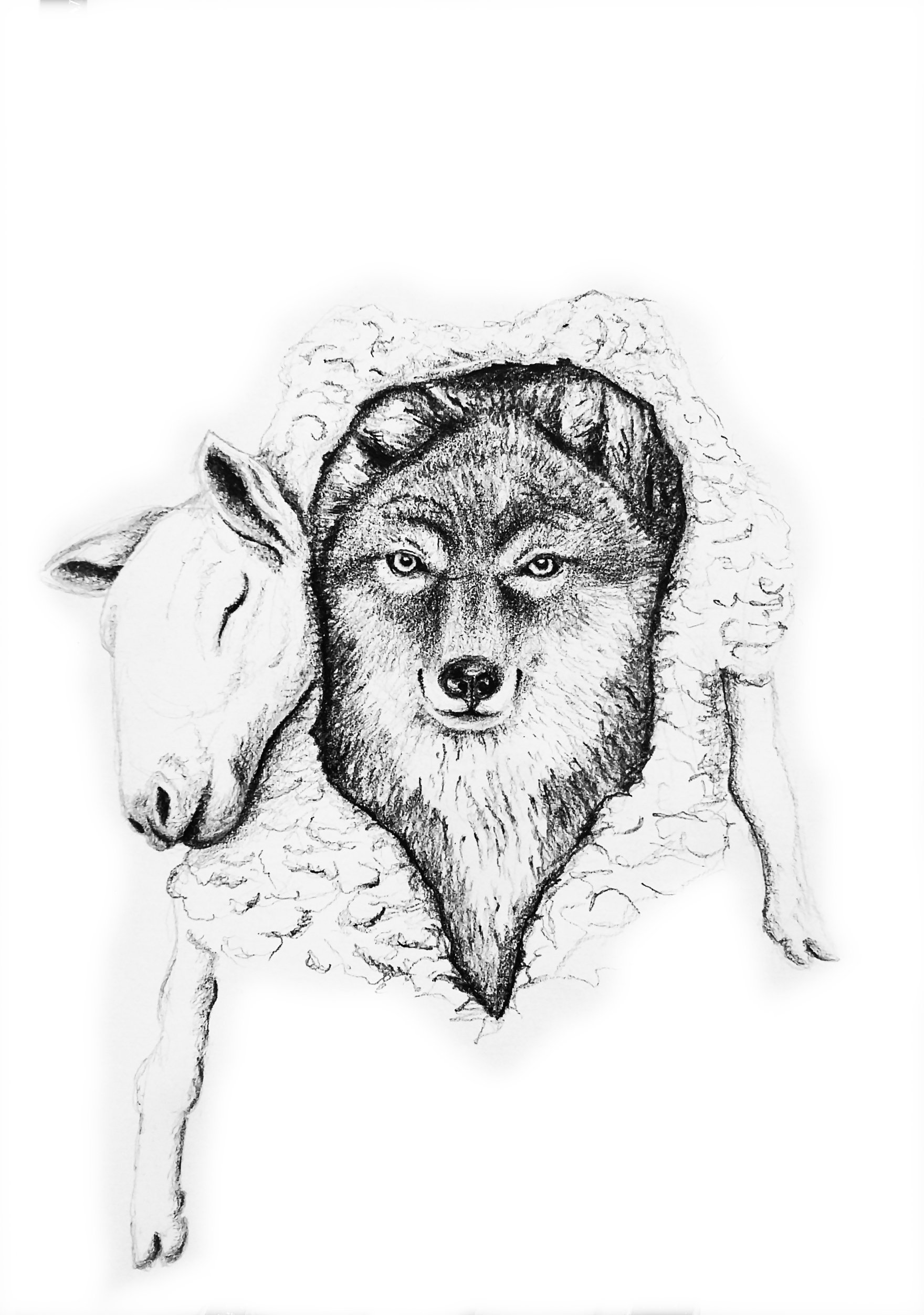 wolf_im_schafpelz_Raschi_Kueng_.jpg