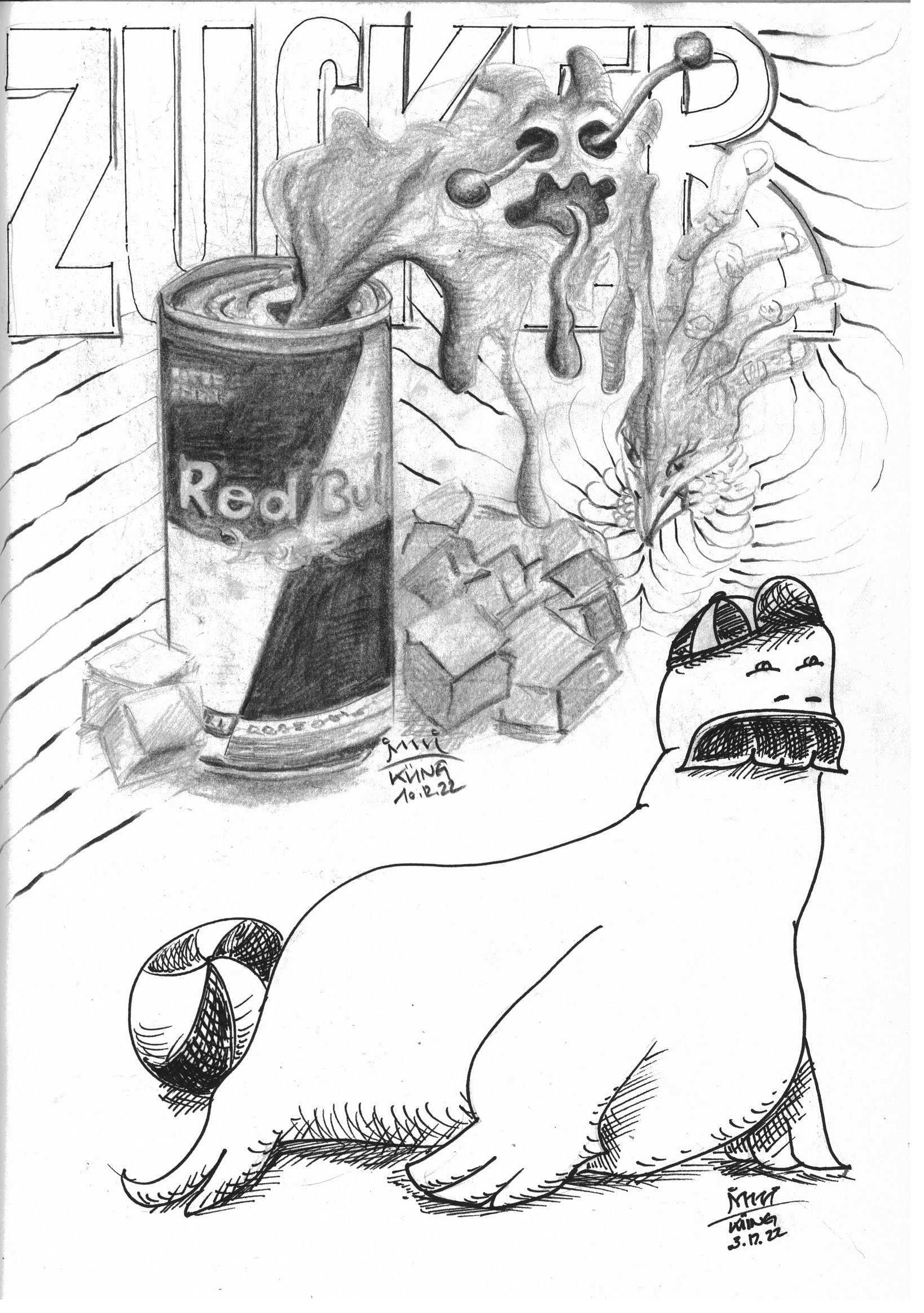 Zucker_mustasch_Seehund_Raschi_Kueng_2023.jpg