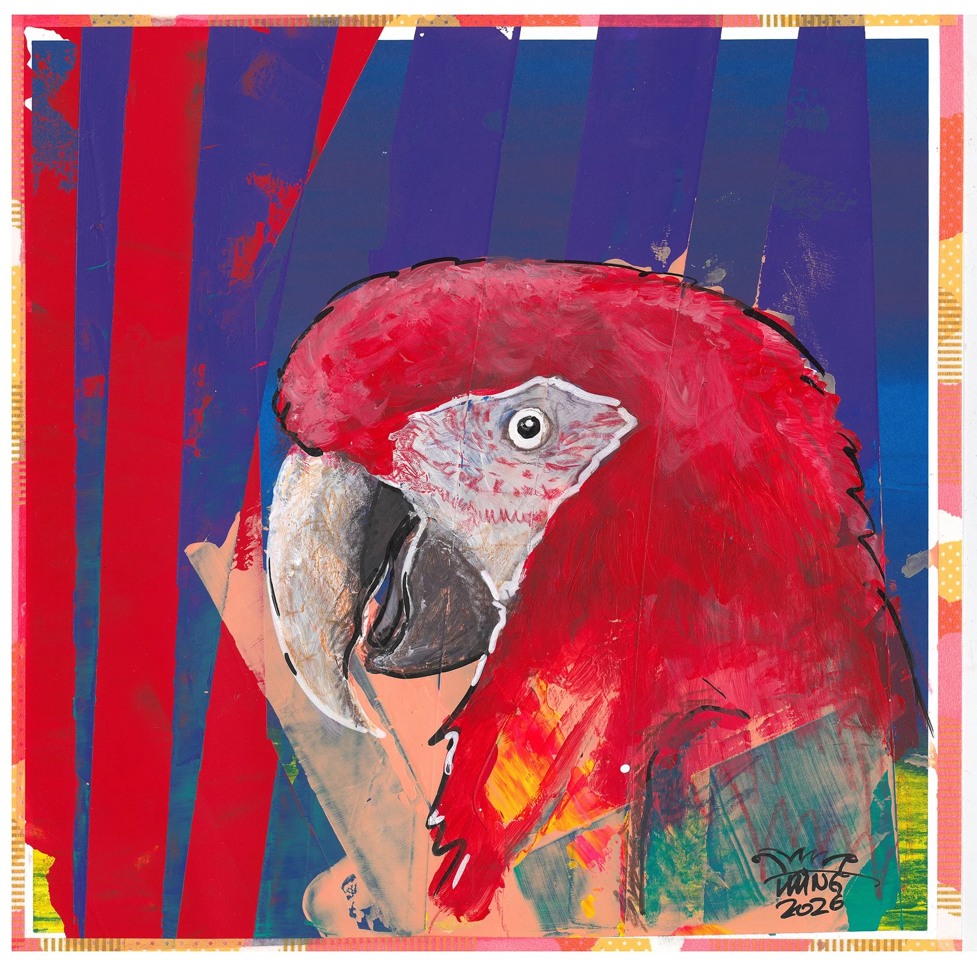  Ara rot. 2026 . 25 × 25 cm . Acryl &amp; Wasserfarben auf Papier 