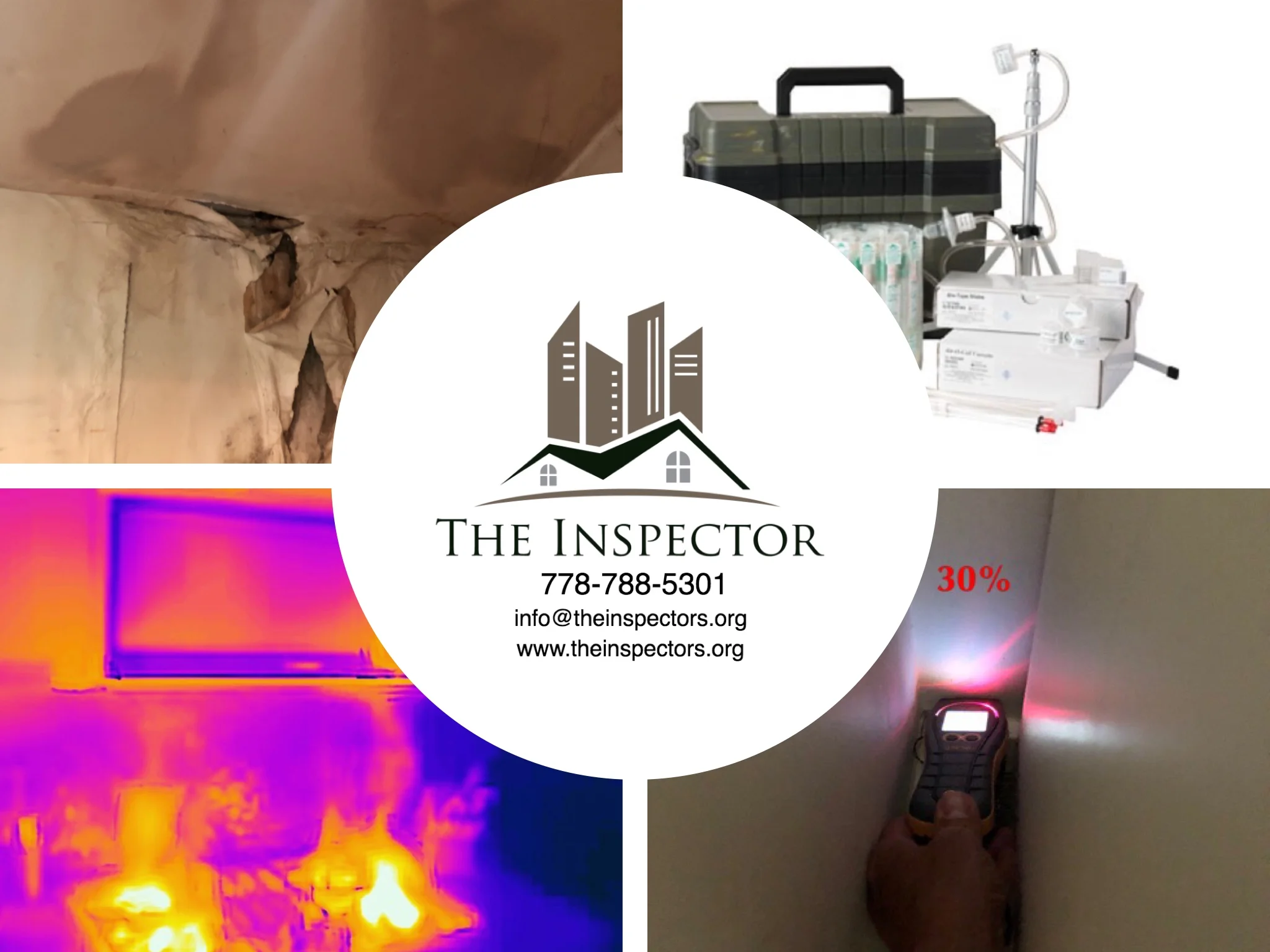 the-inspector-services.jpg