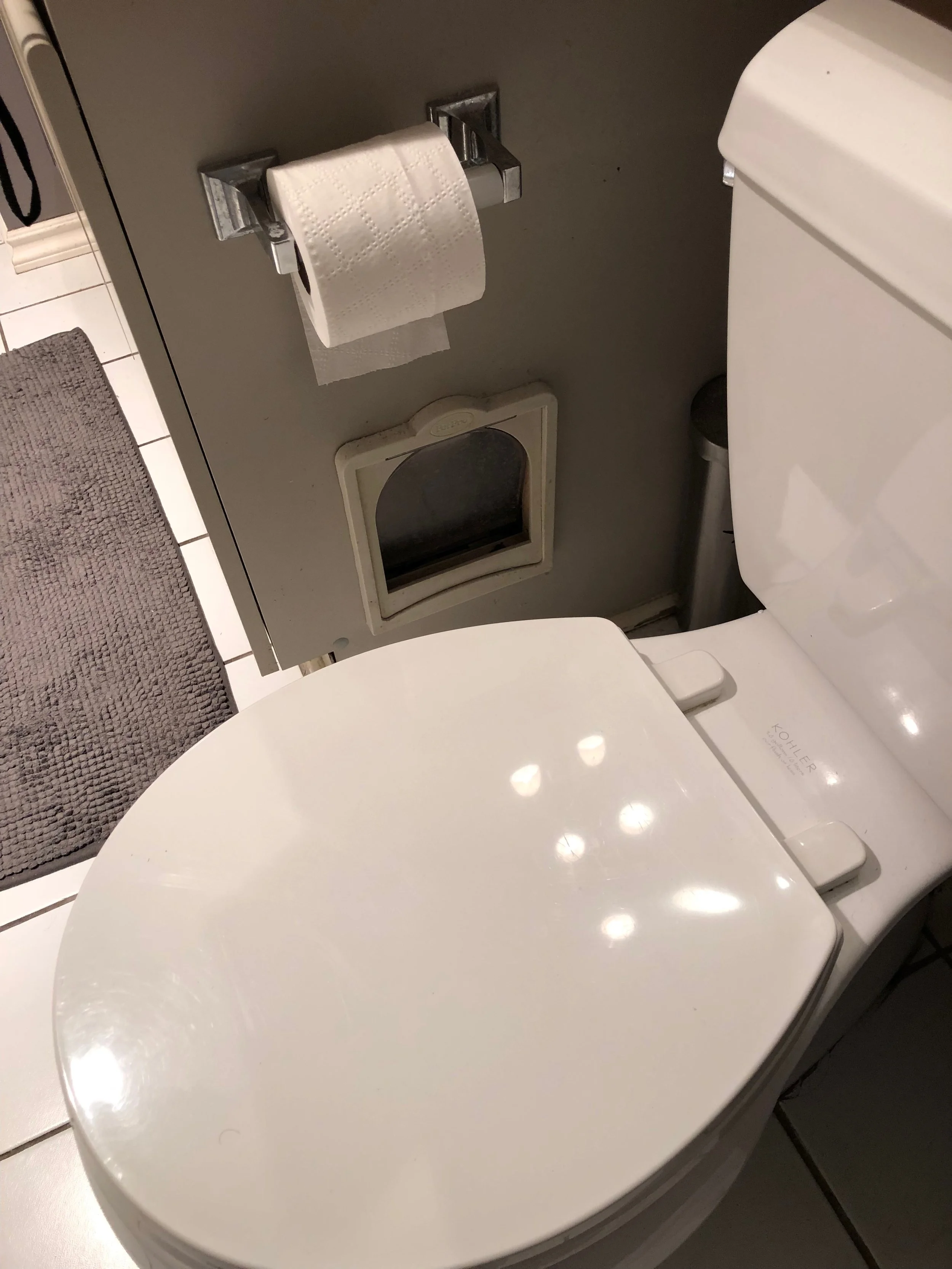 Really? A cat door to the toilet!