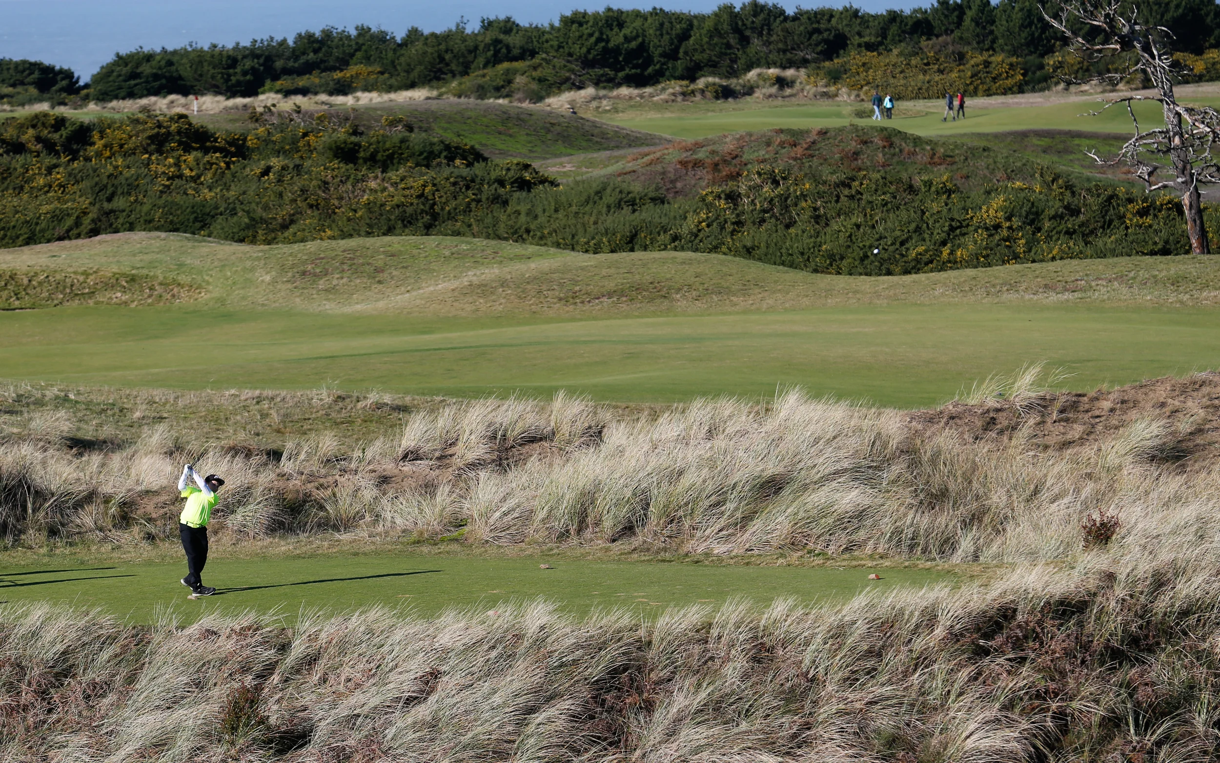 BandonChodge.jpg