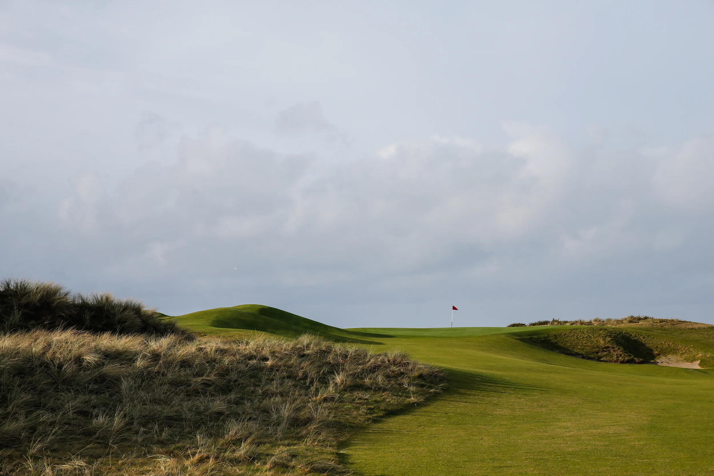 Bandonmain.jpg