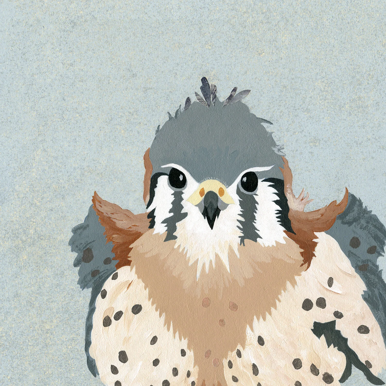 American Kestrel Chick Tile