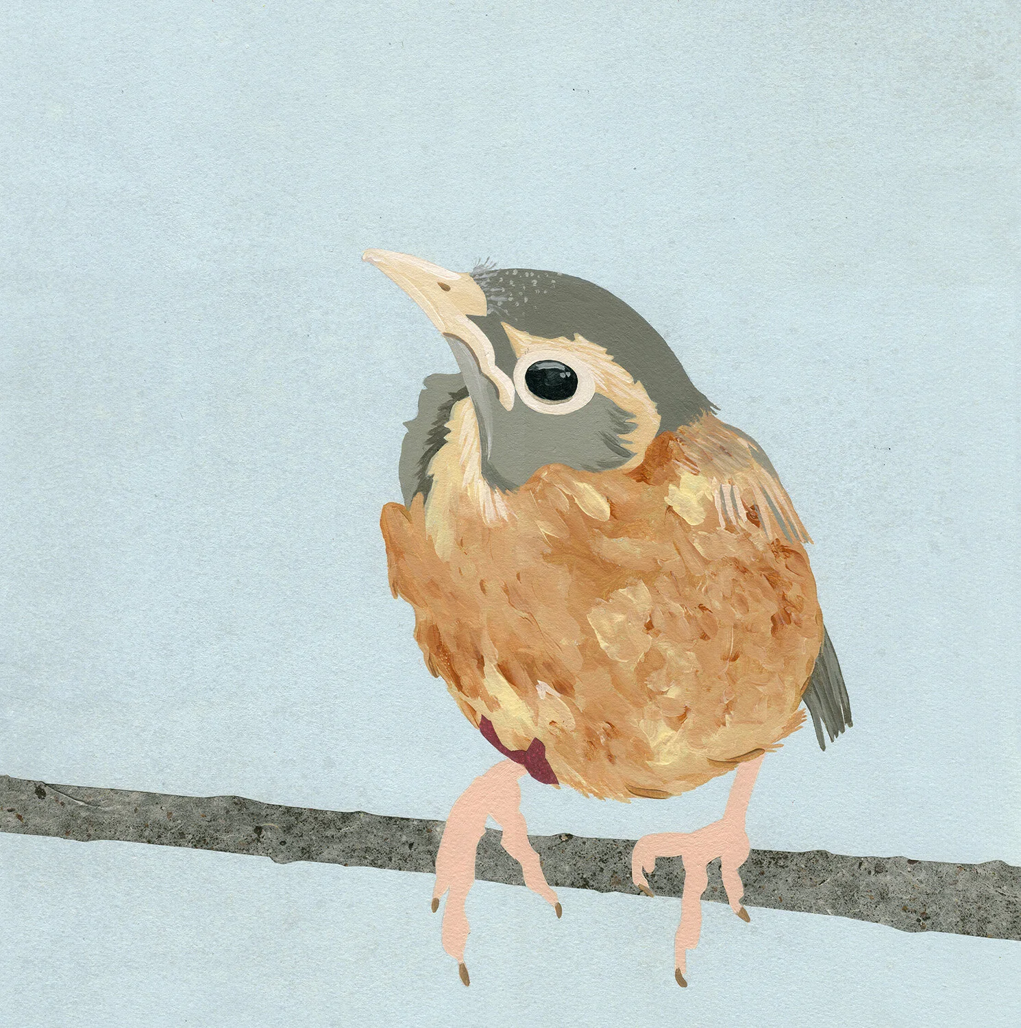 Robin Chick Tile