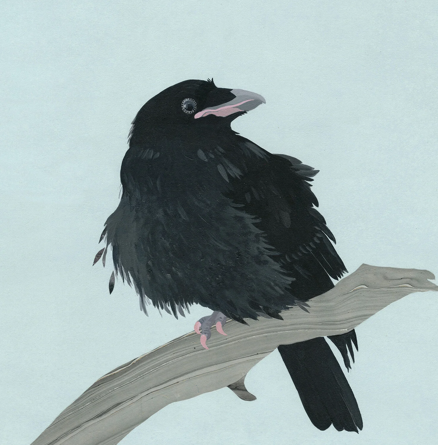 Raven Out of the Nest_W.jpg