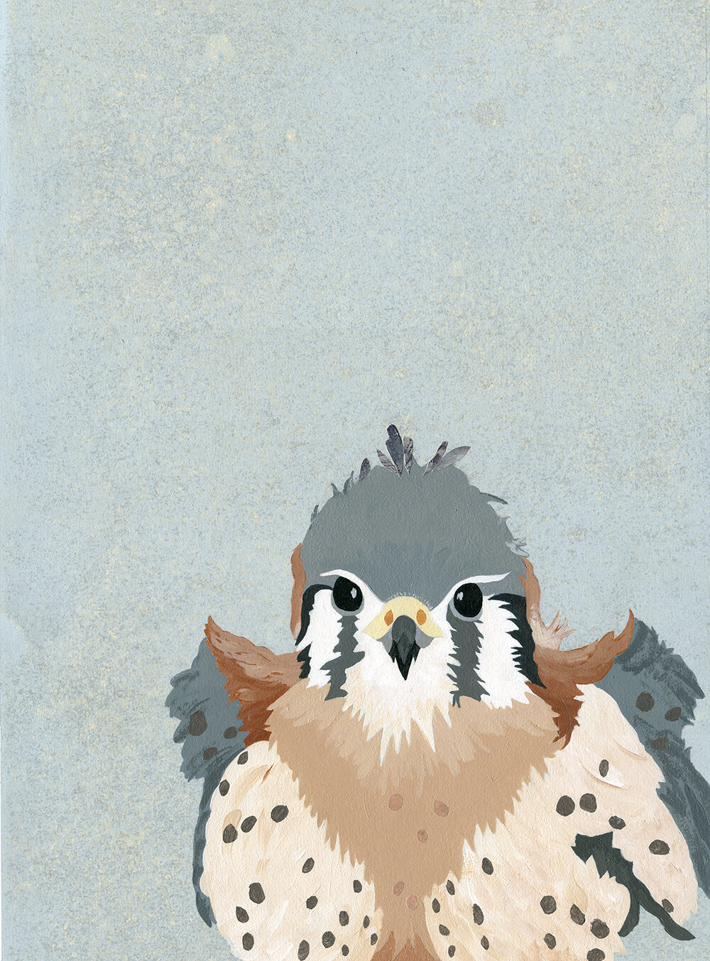 Watercolor Painting with Ronna: The American Kestrel - Portland