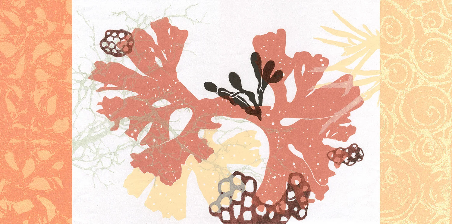 Seaweed Variety #11_W.jpg
