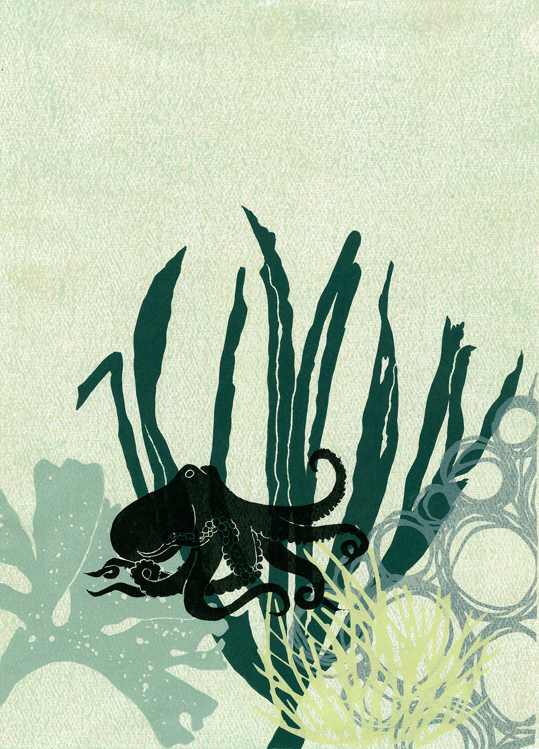 Octopus Looking for Lunch