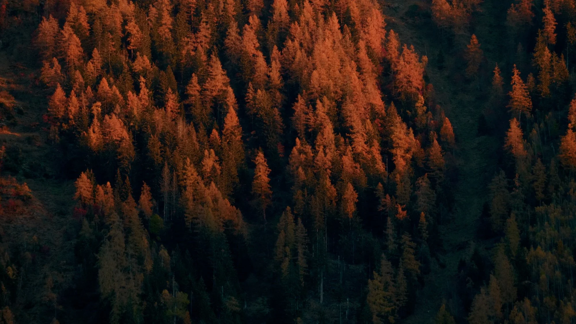 Strada_v5_XMLrgtrghetq.jpg