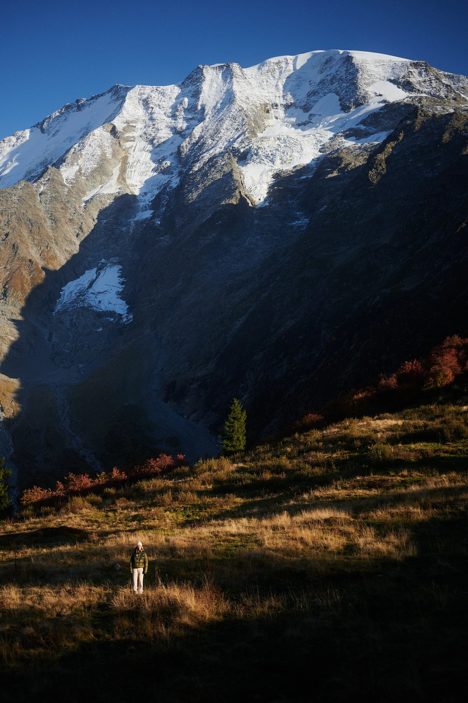 DSC_2797.jpg