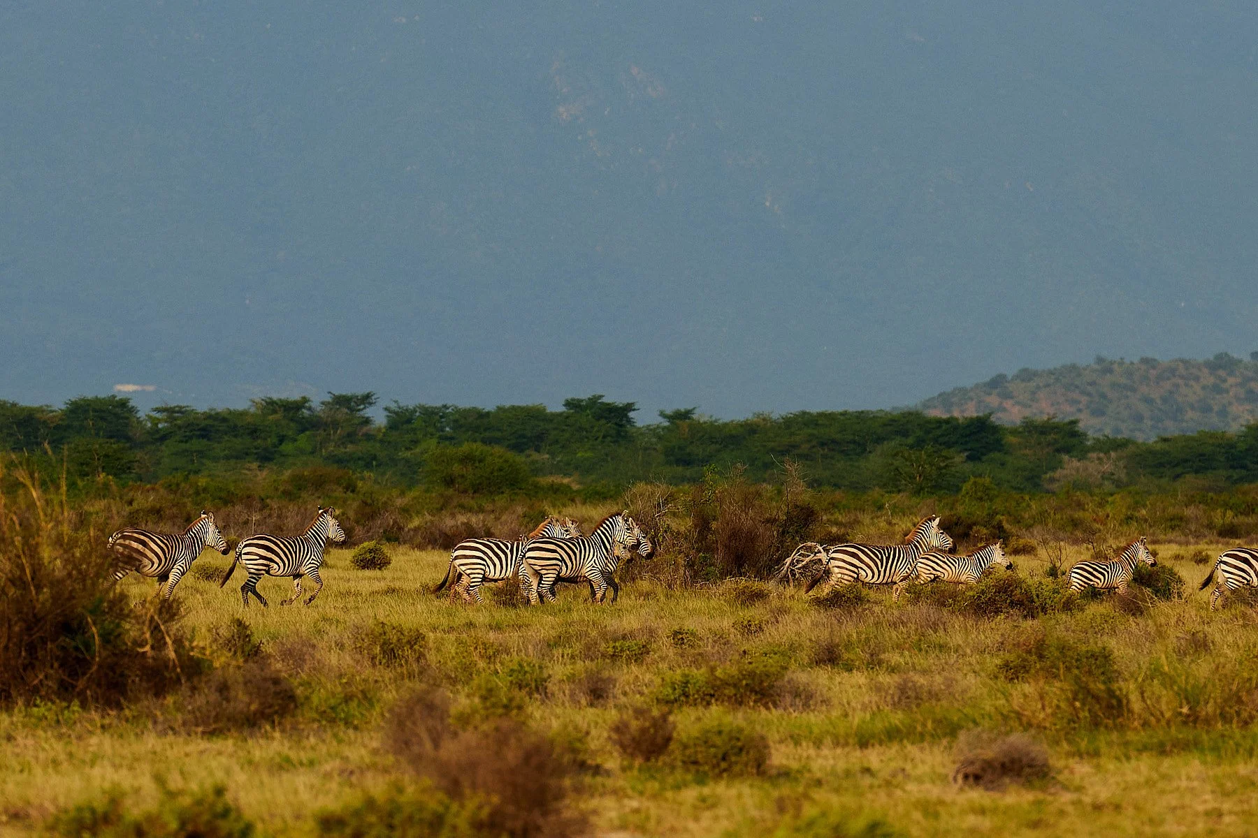 Ultra X Tanzania @lukejarmey Social Res 149.jpg