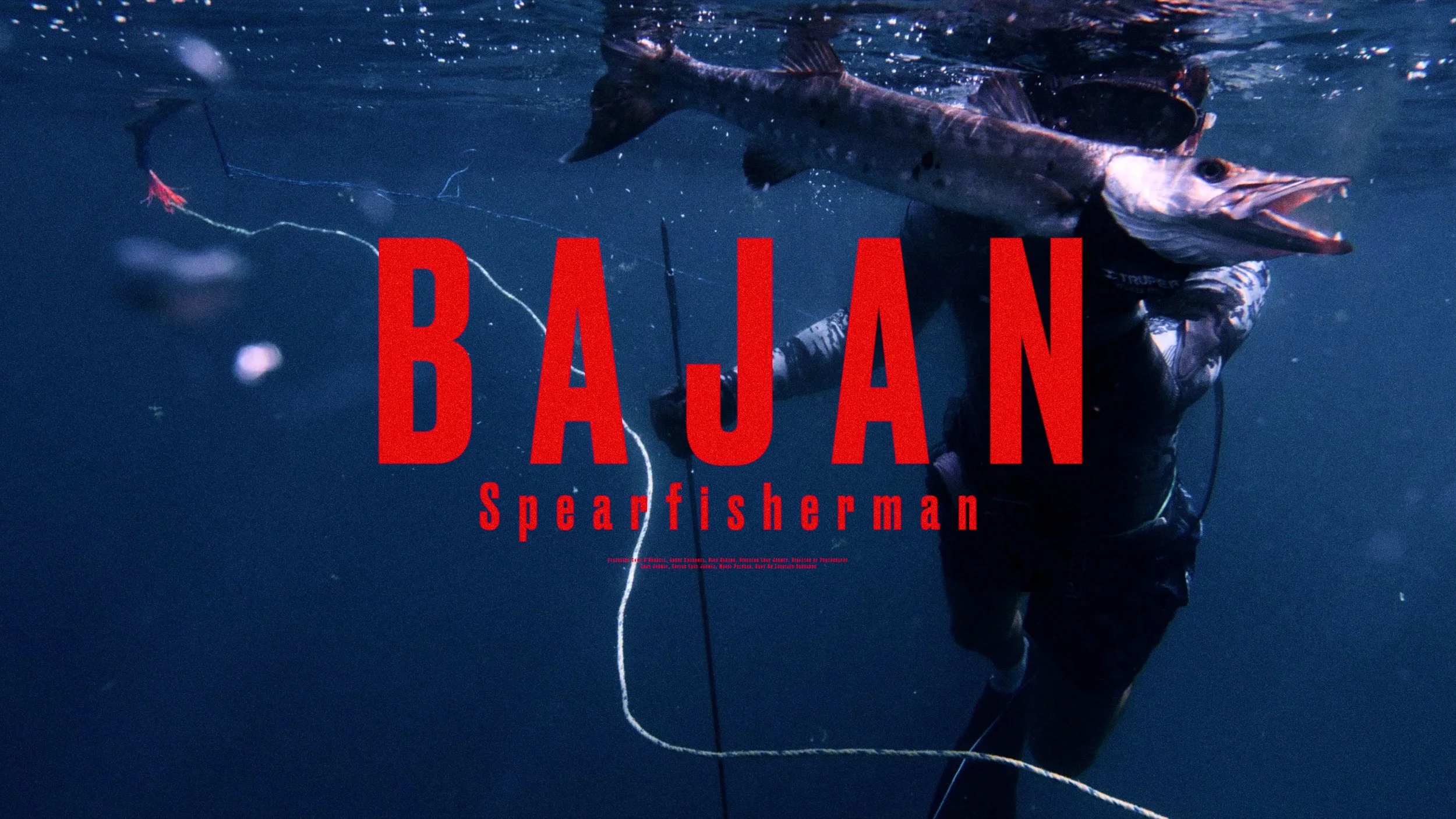 BAJAN Spearfisherman Cover.jpg