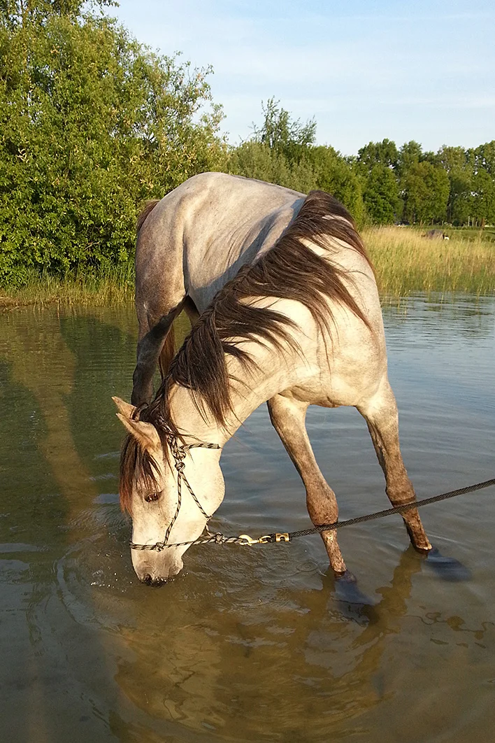 Oefenen met het inlopen van water