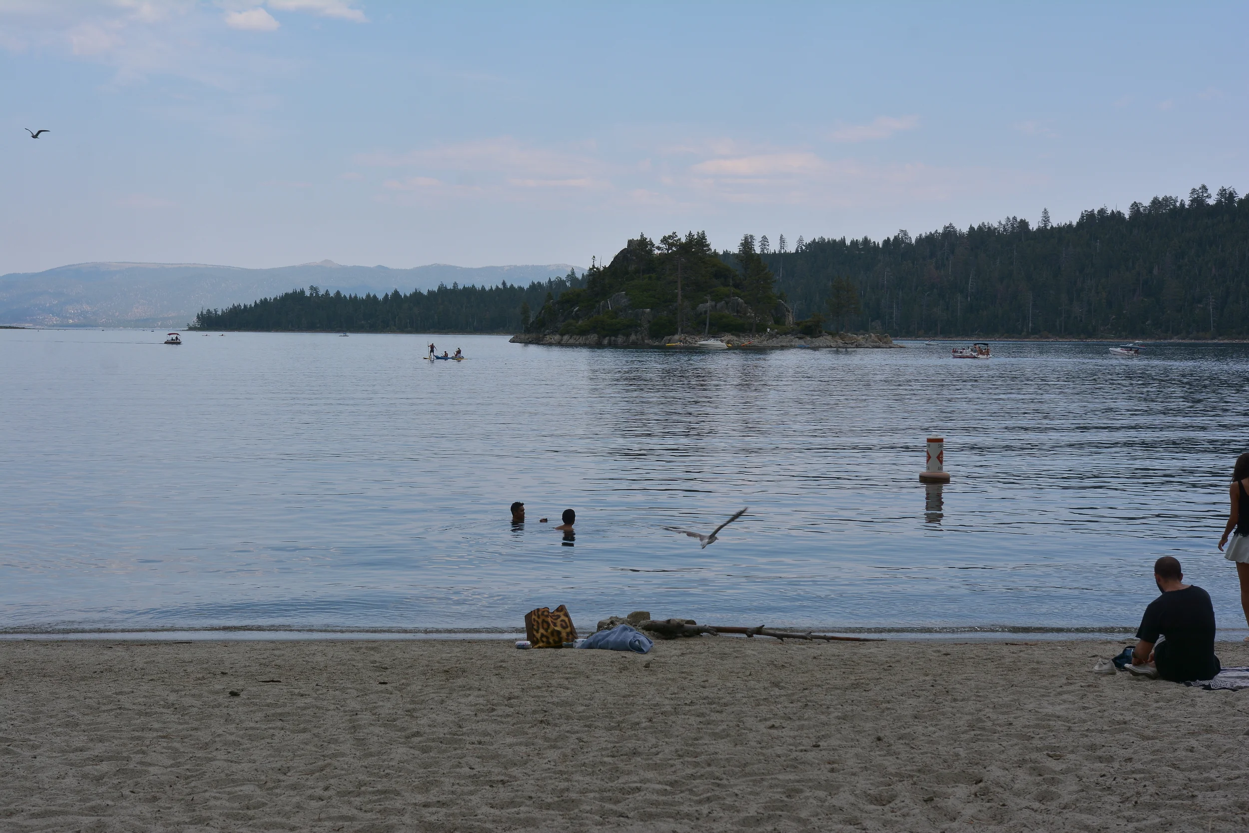 Acclimating to Cold Water Swimming