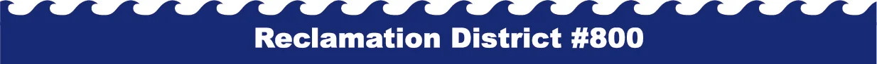RD800 Logo.jpg