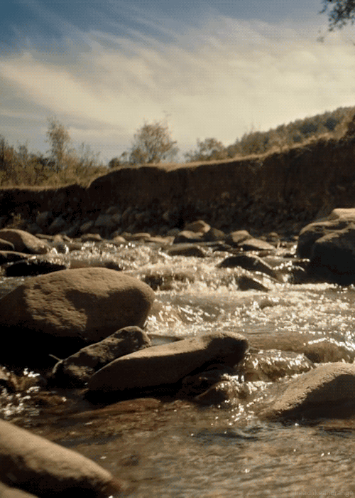 cinemagraph-gifs-river.gif