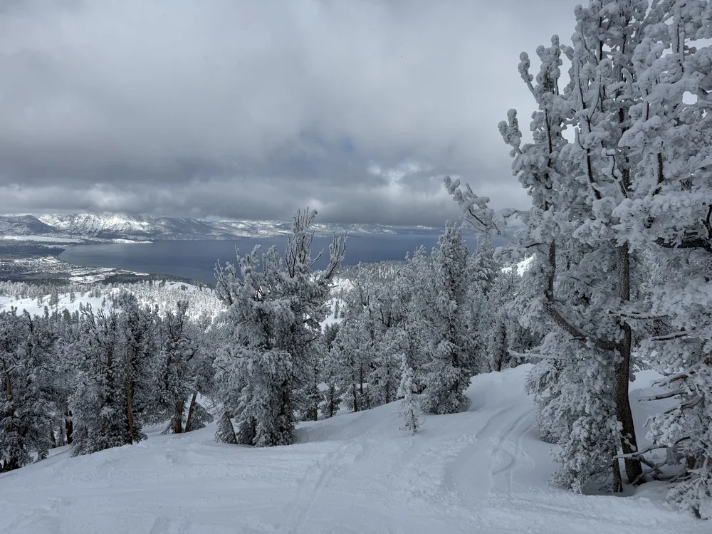  Off-piste powder and a view of the lake, Heavenly. April 2, 2025. 