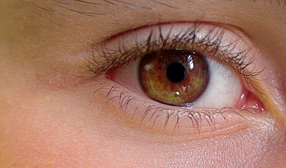 Eye Health center of troy - anatomy