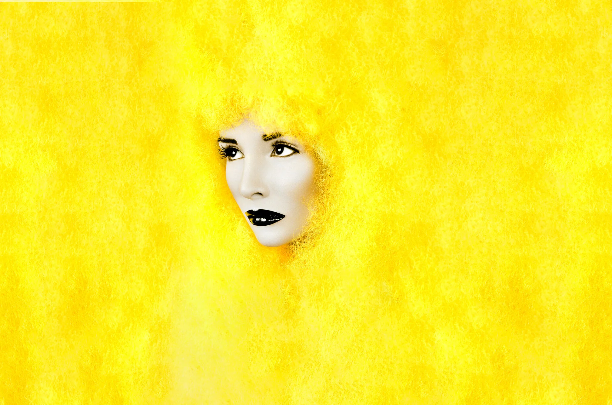 d1uv35q-16a9e9e2-463d-448c-b14f-597f098d7ca2.jpg