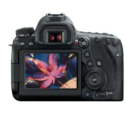 Canon-EOS-6D-Mark-II-DSLR-Camera.jpg