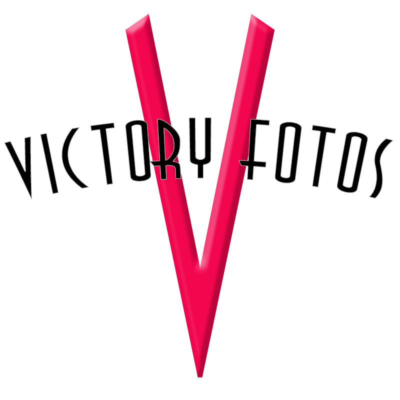 VFnewlogo.png