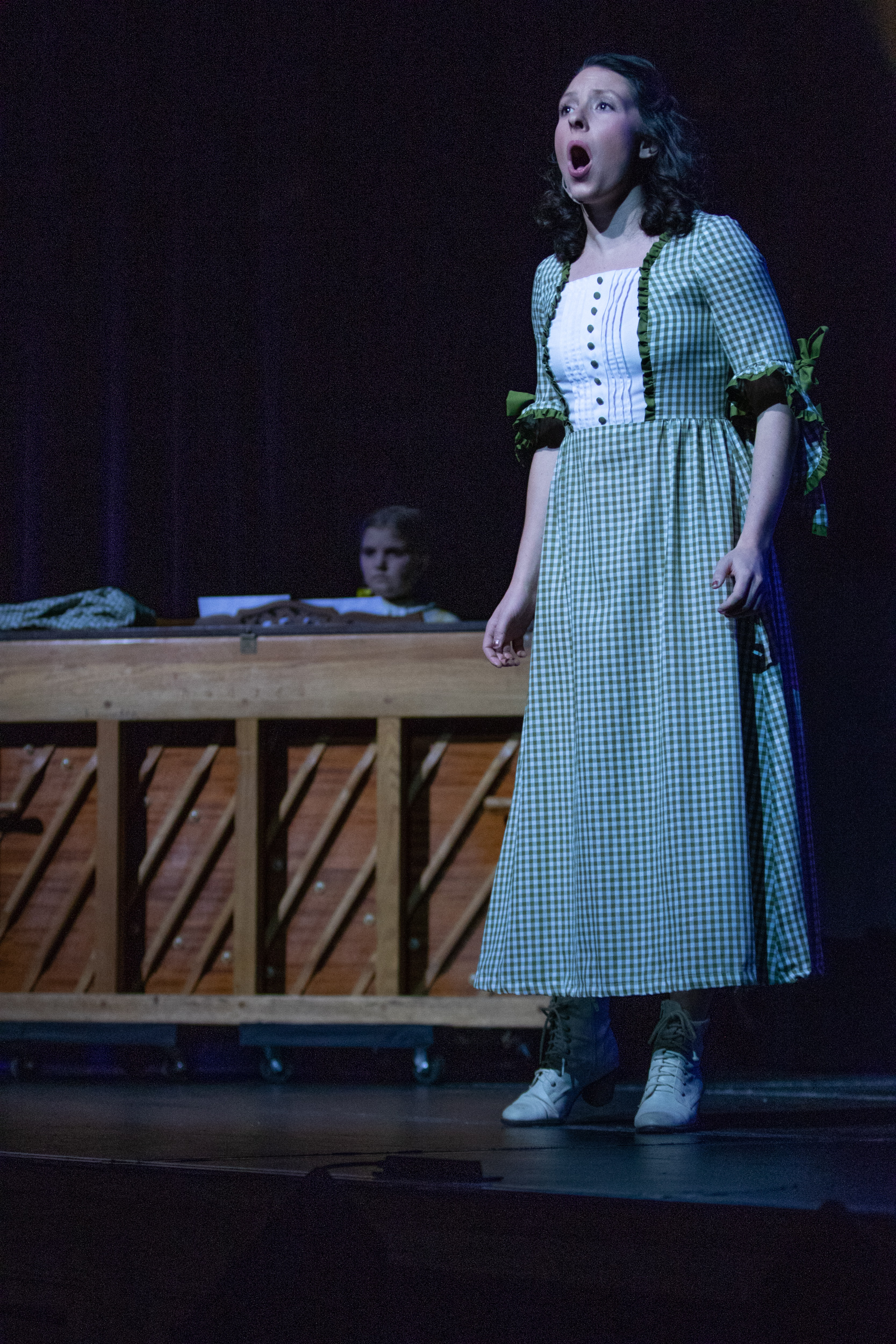 Music Man Rosen PAC - 36.jpg