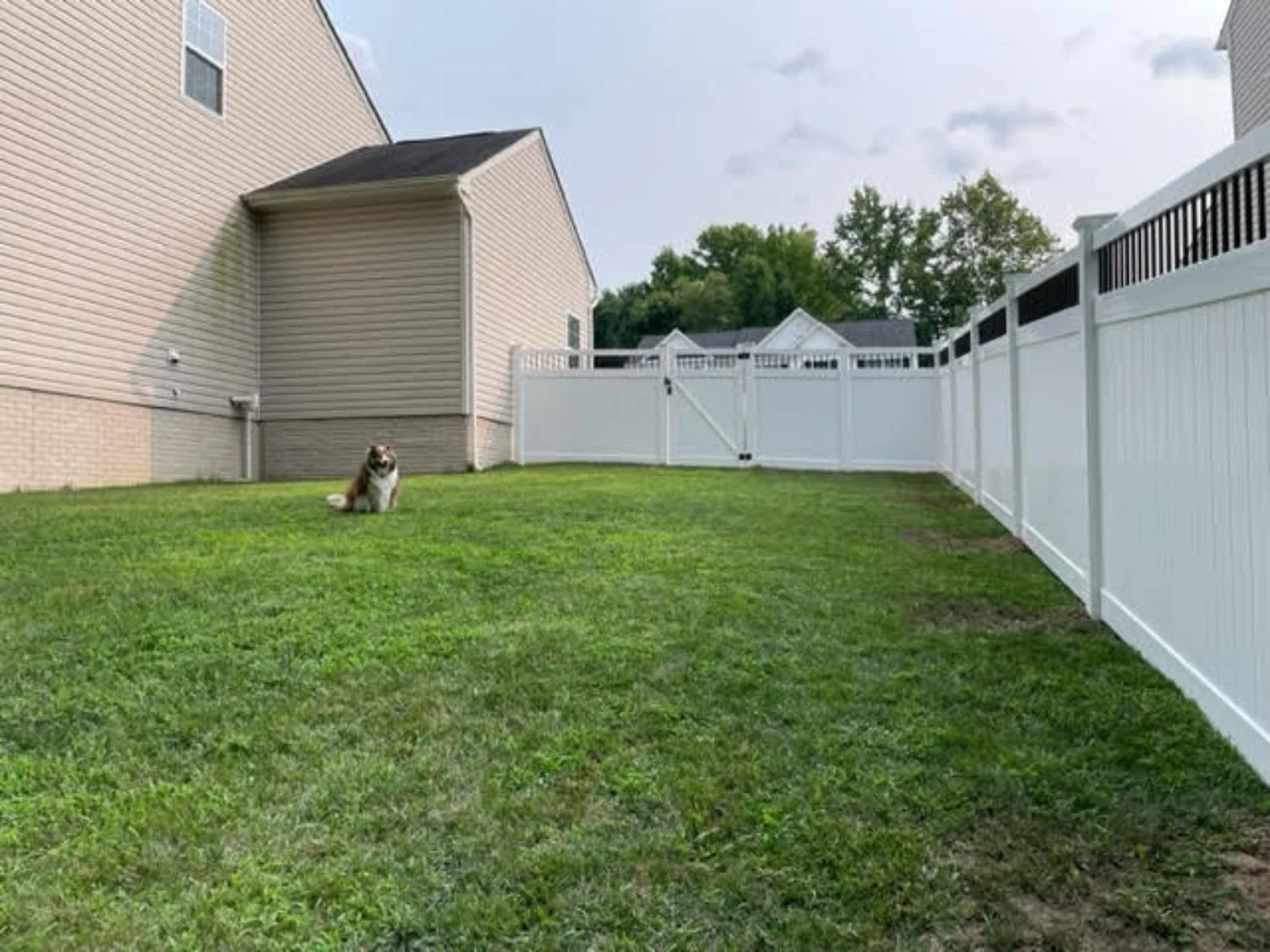 🦀 Custom Fence Pictures Maryland Decking Decks, Patios, and Fencing