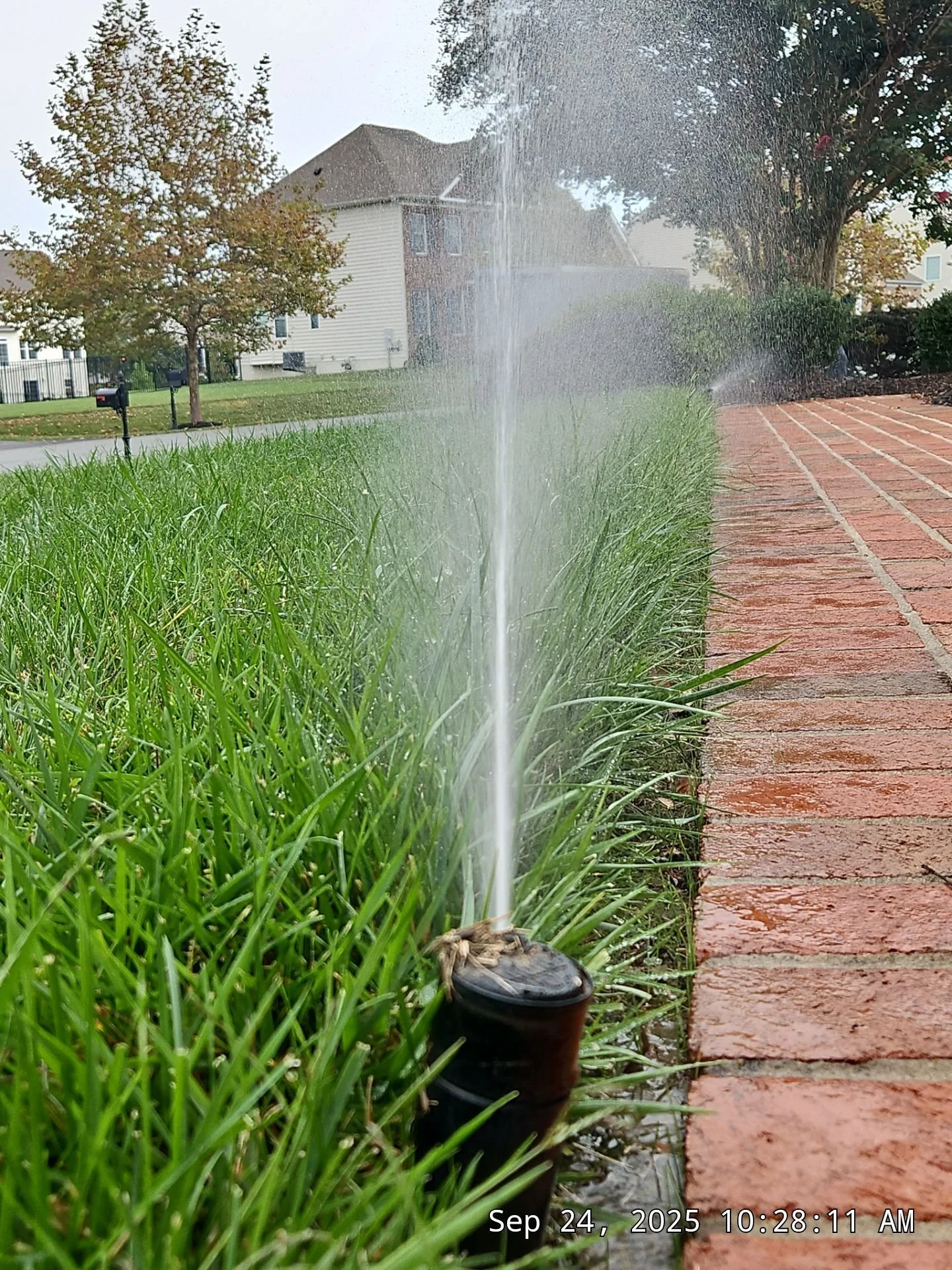 irrigationsprinklers (7).jpg