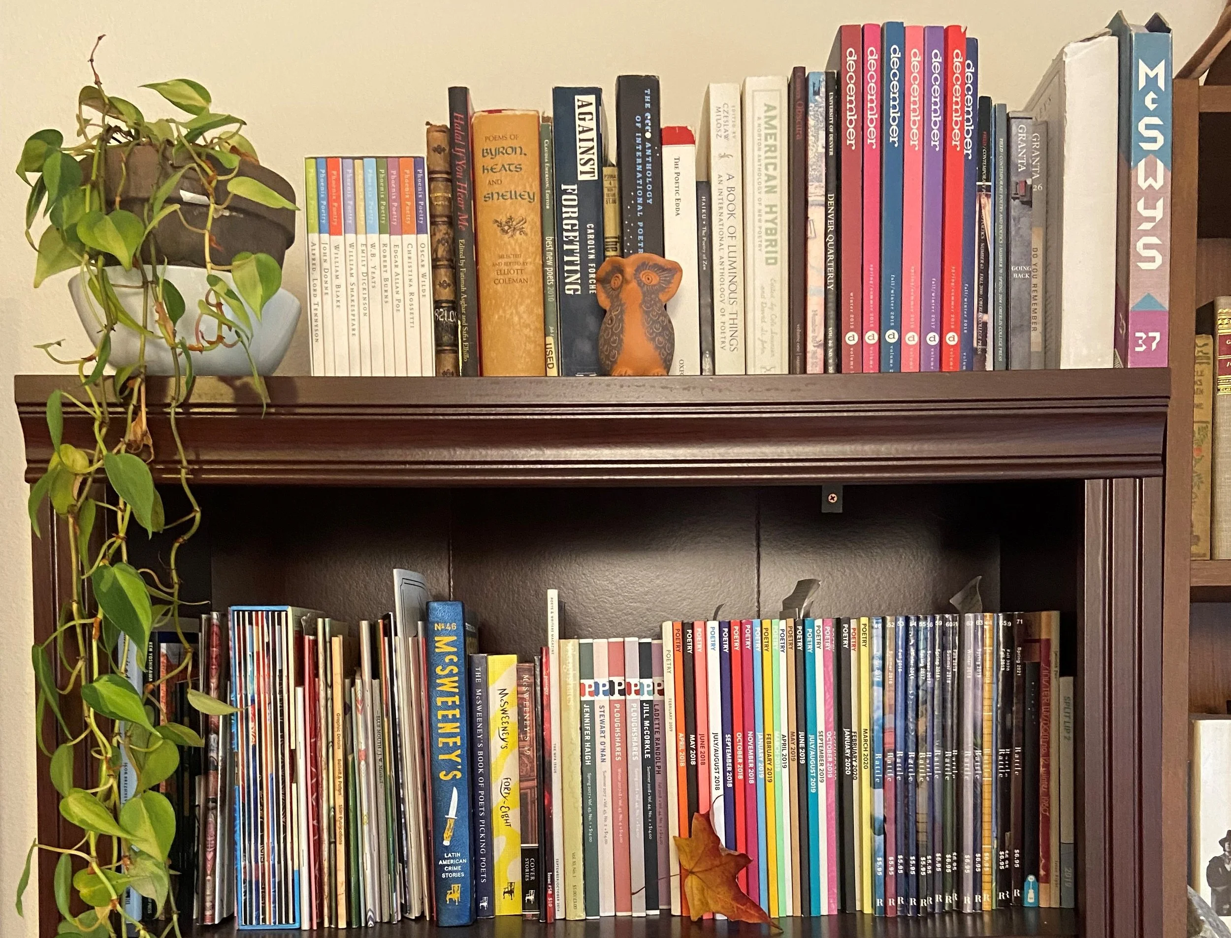 shelfie.jpg