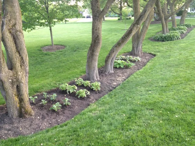 Customer Lawn Testimonial